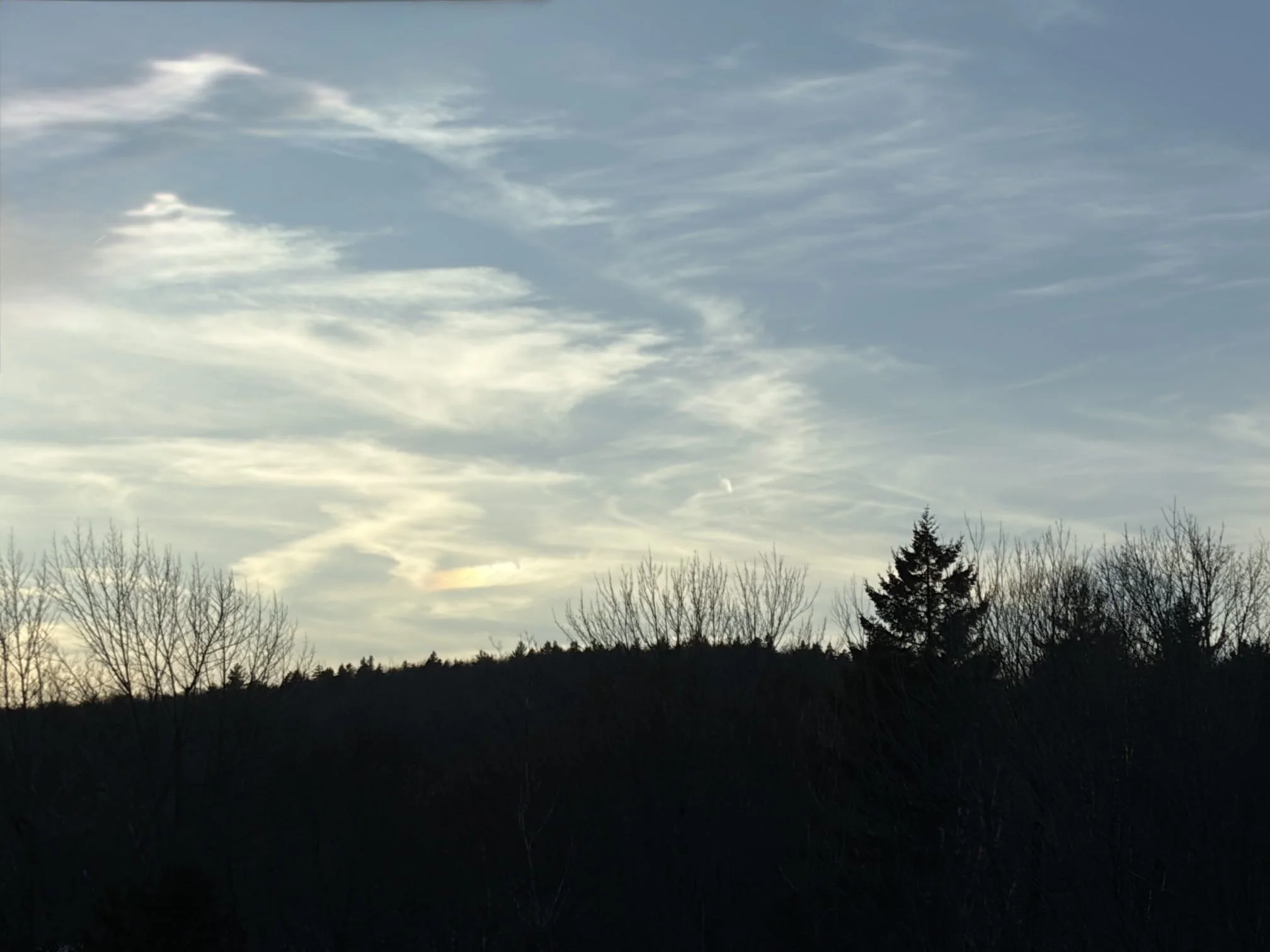 This Precious Human Life. Who Are You Becoming? - A Mindful Approach to Dementia &amp; Psychedelics