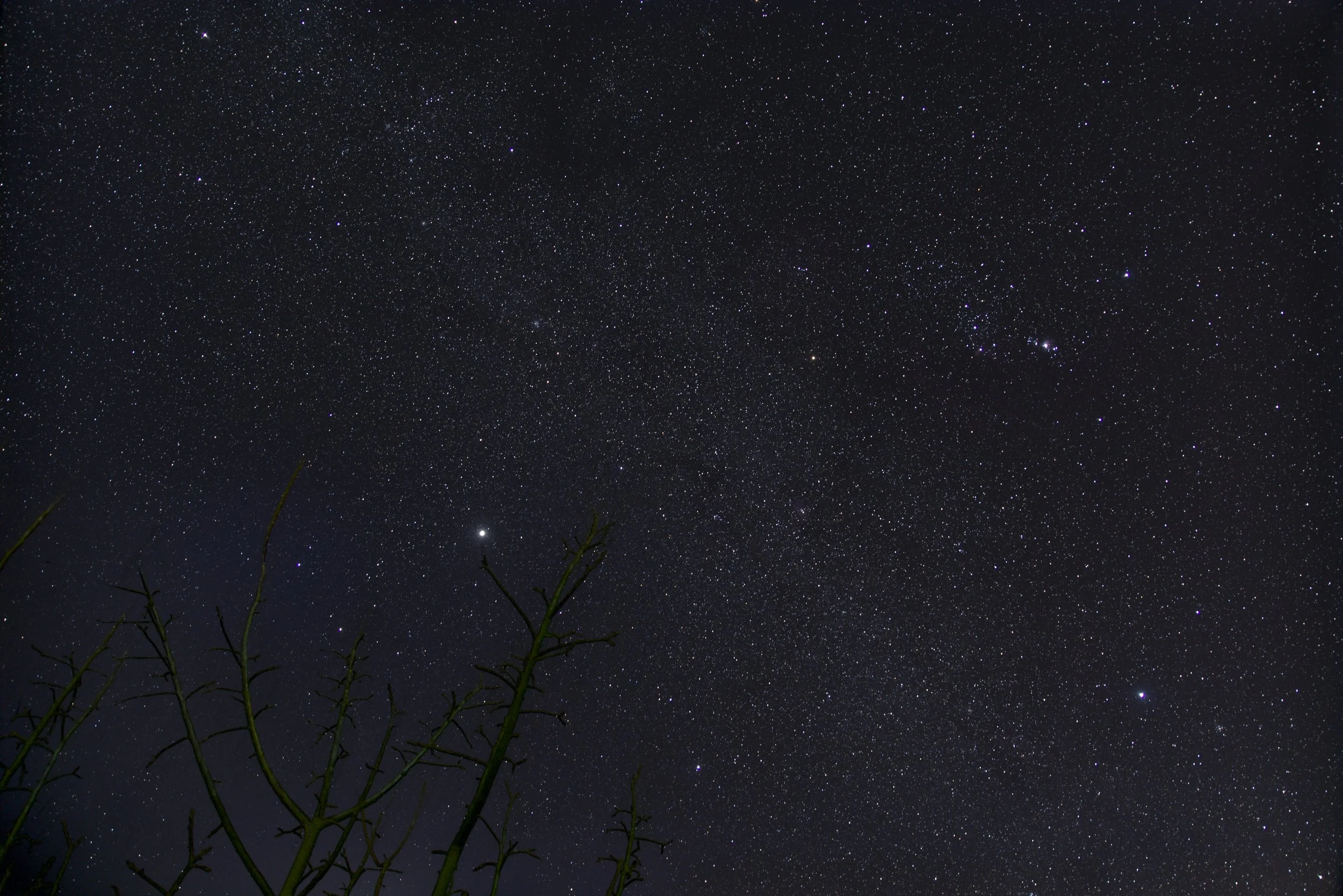 Death—A Fruition of Possibilities - A Mindful Approach to Dementia &amp; Psychedelics