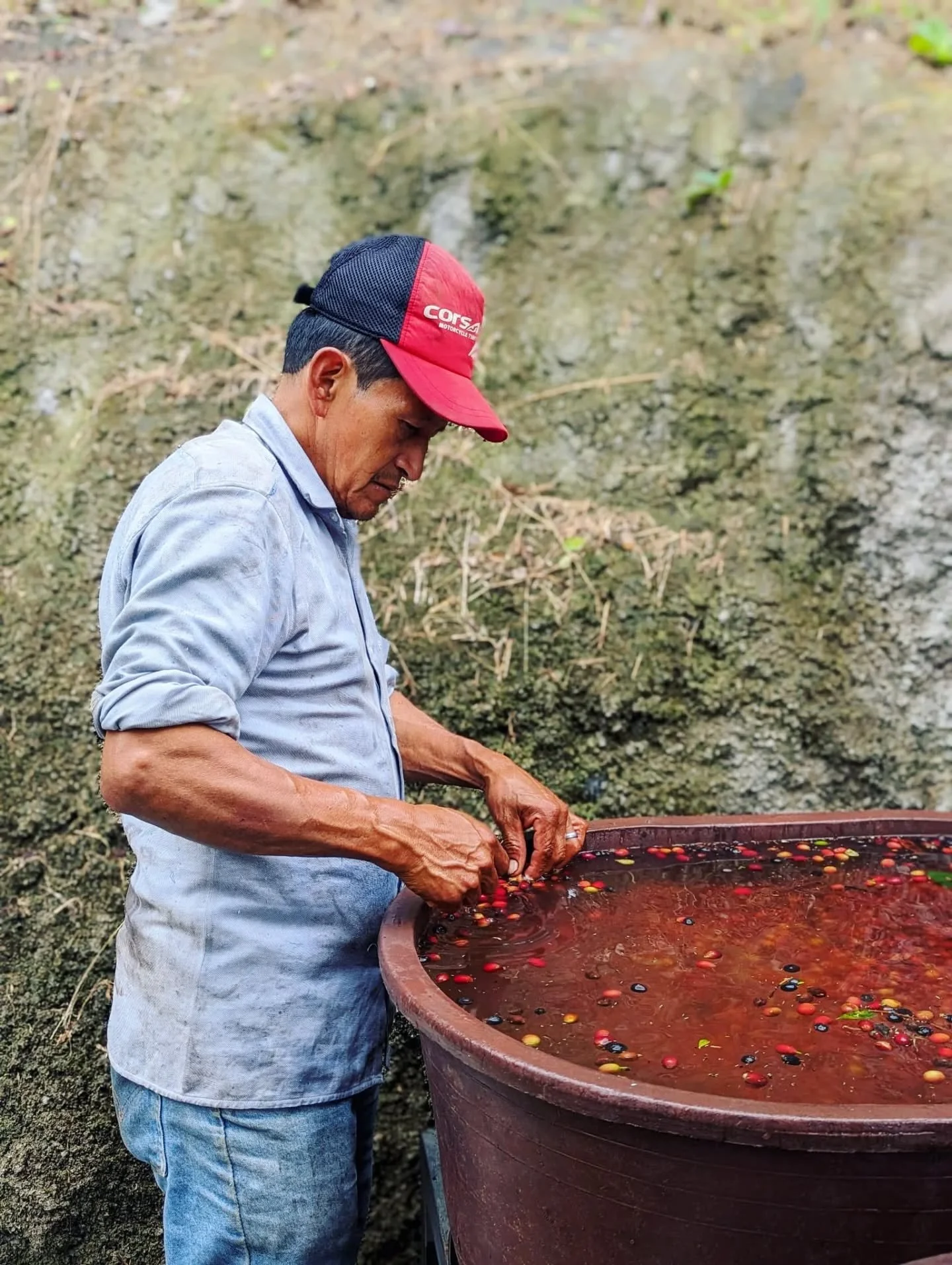 Almost two full months into 2026, and we&rsquo;ve been reflecting on 2025&mdash;what went well, and what went...not so well.

In coffee quality control, one of the steps is to place the coffee cherries in water and see what sinks and what floats. 🍒 