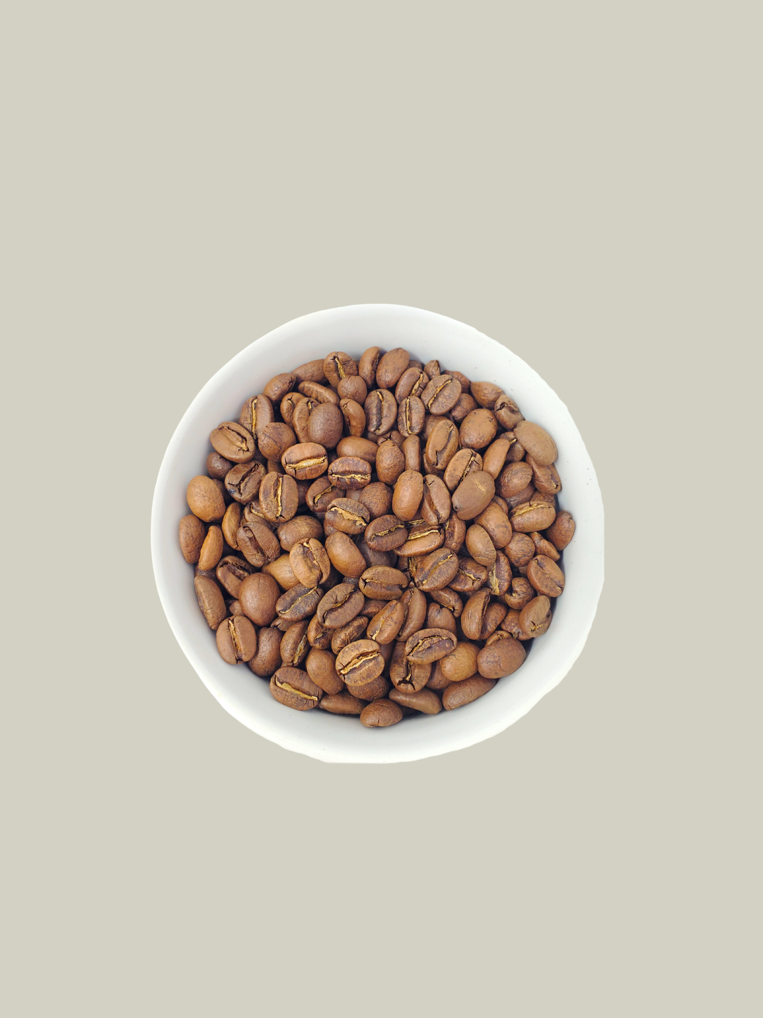El Sendero - light(1).png
