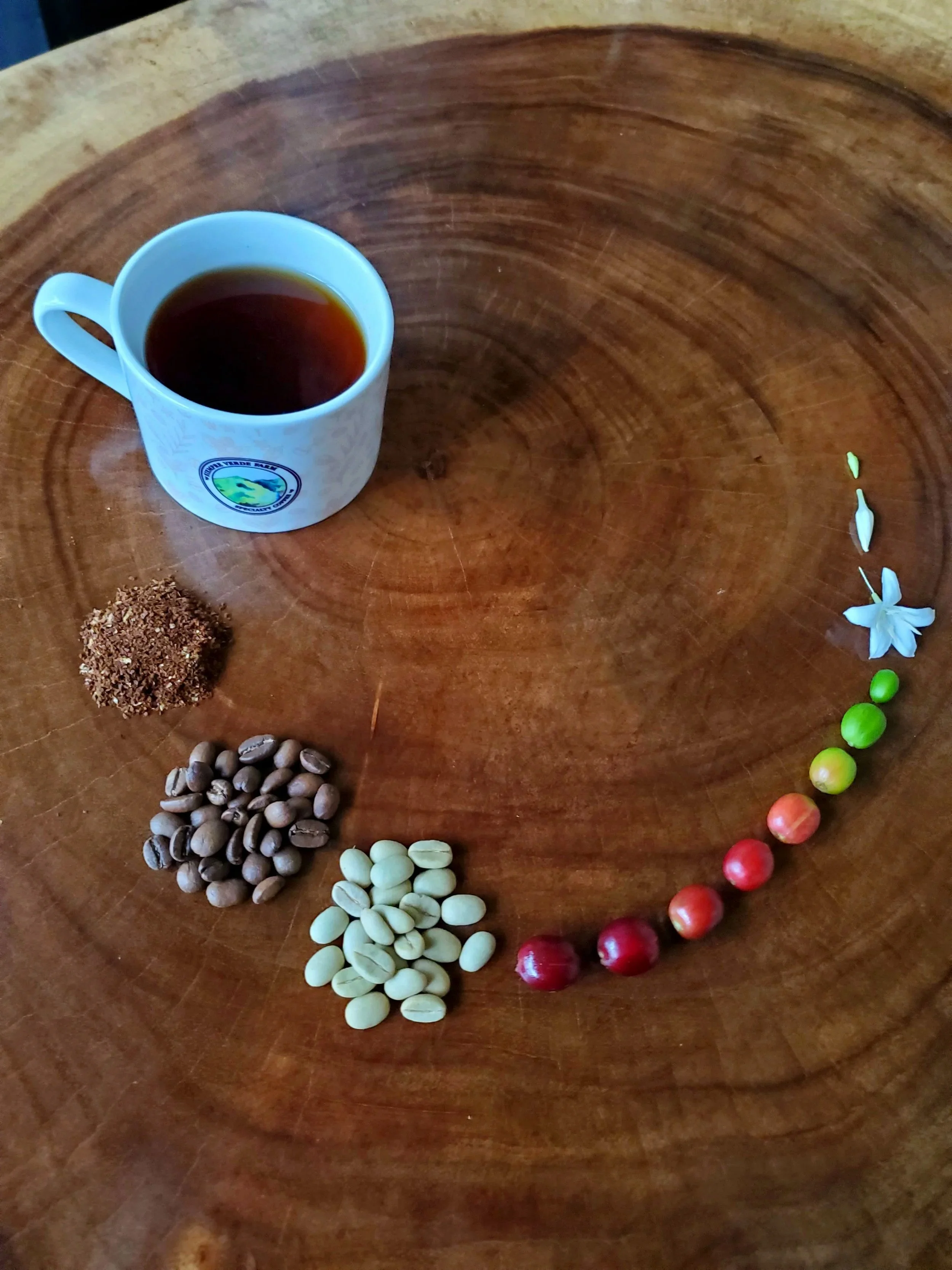 Specialty Coffee vs. Commodity Coffee