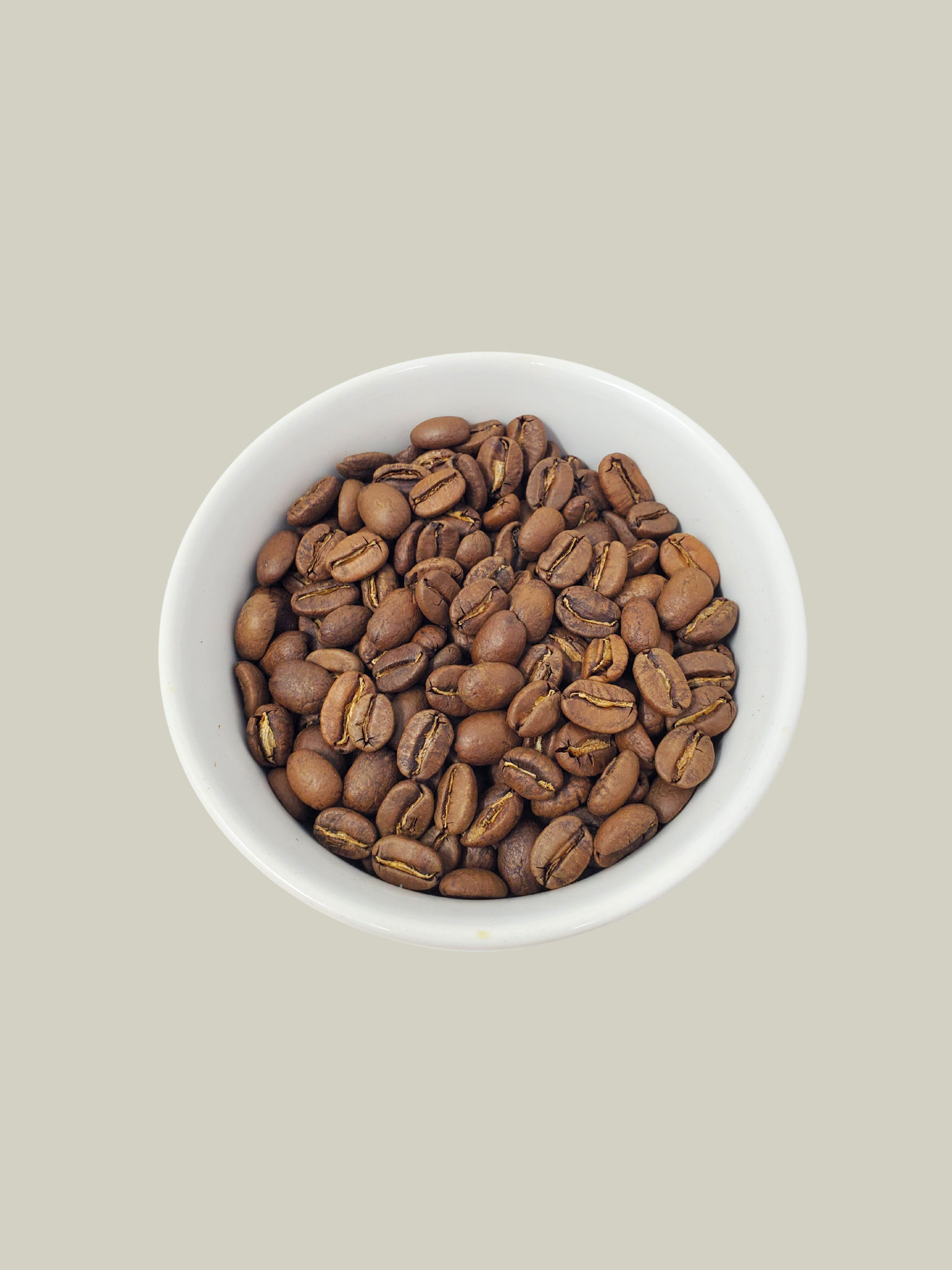 El Sendero - medium(1).png