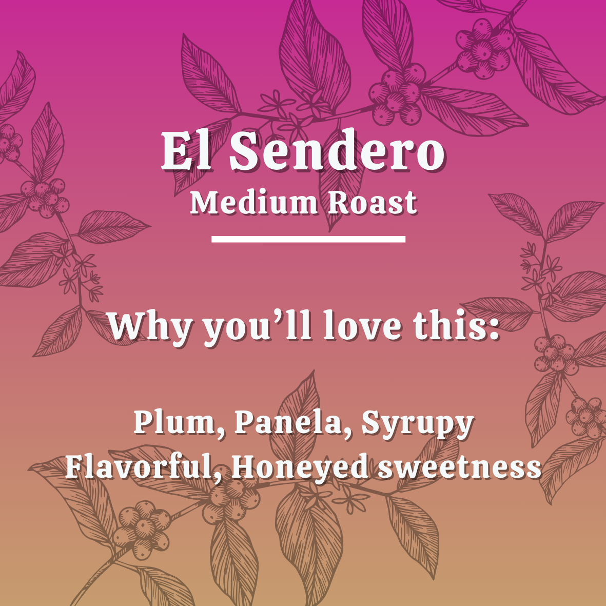 Website Coffee Labels(12).png