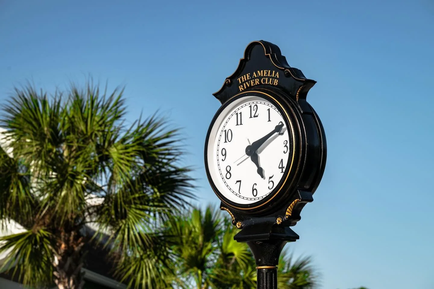 Amelia River Club Destination Wedding