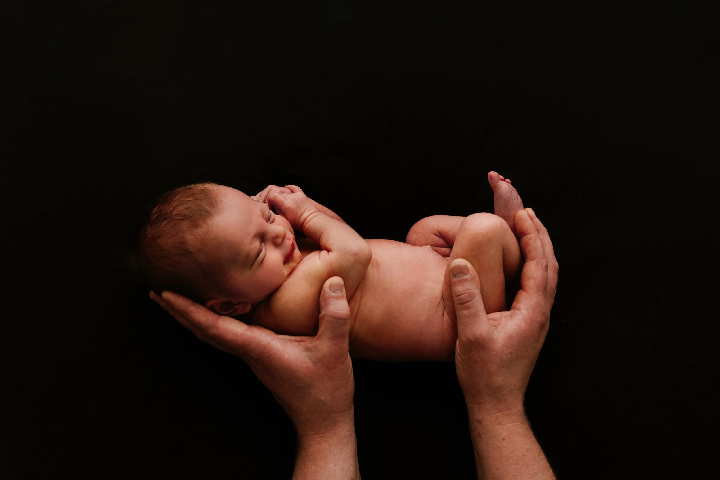Harry Newborn - Final-20.jpg