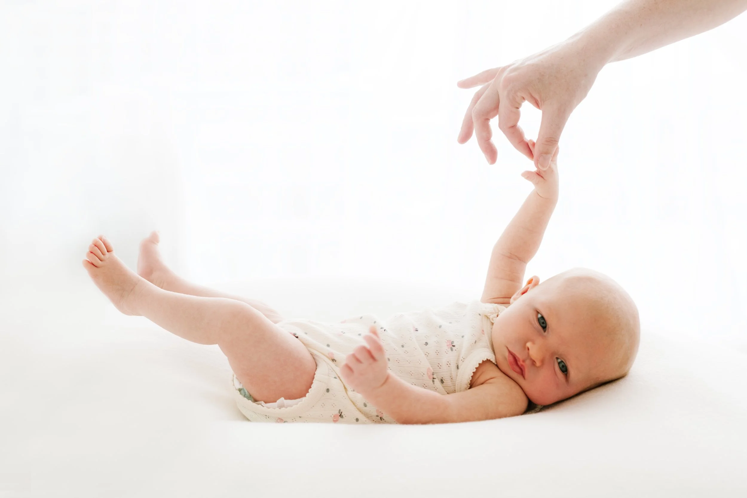 Newborn Photographer Tauranga