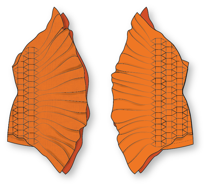Asset 3@700x.png