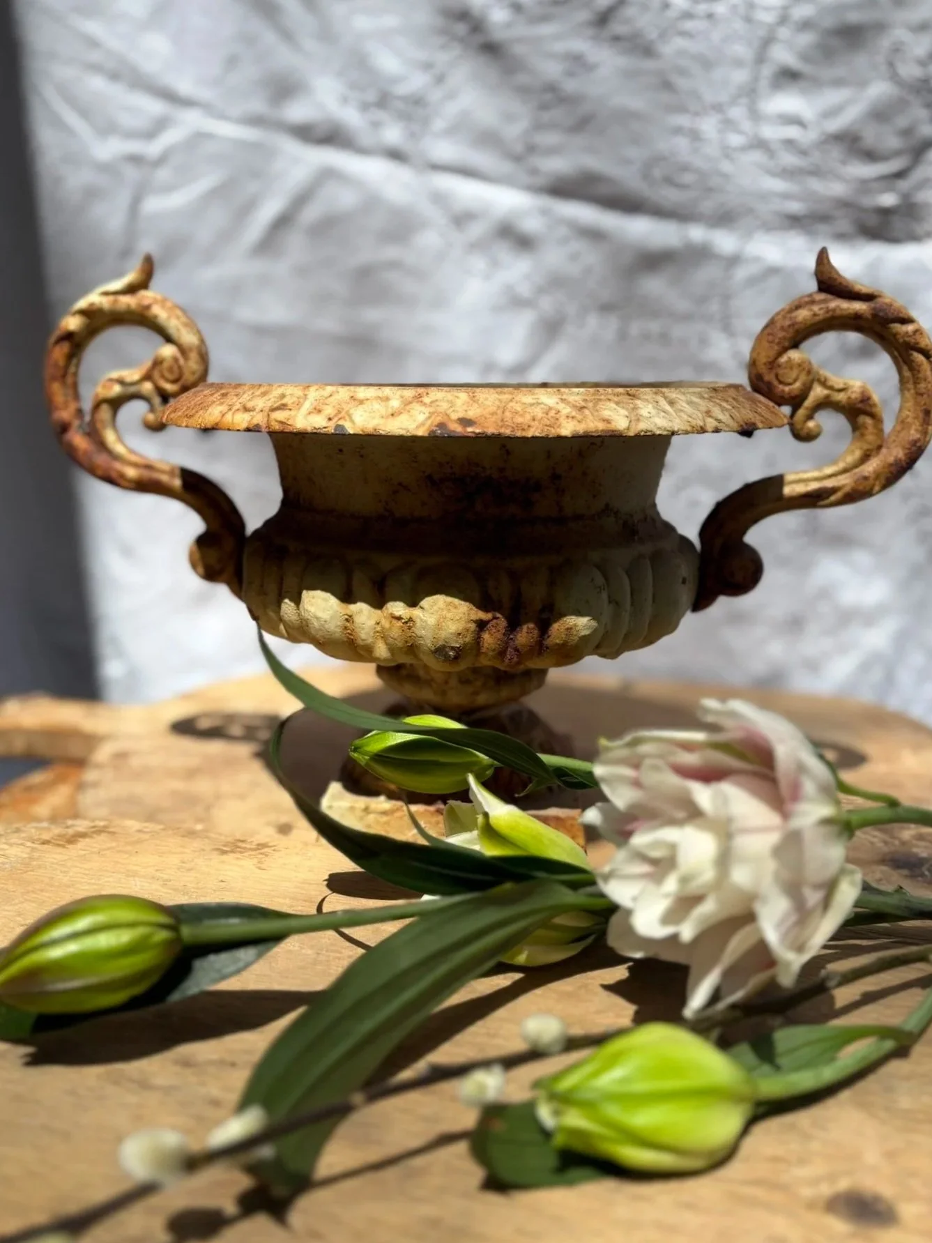 Antique Cast Iron Urn with Scroll Handles