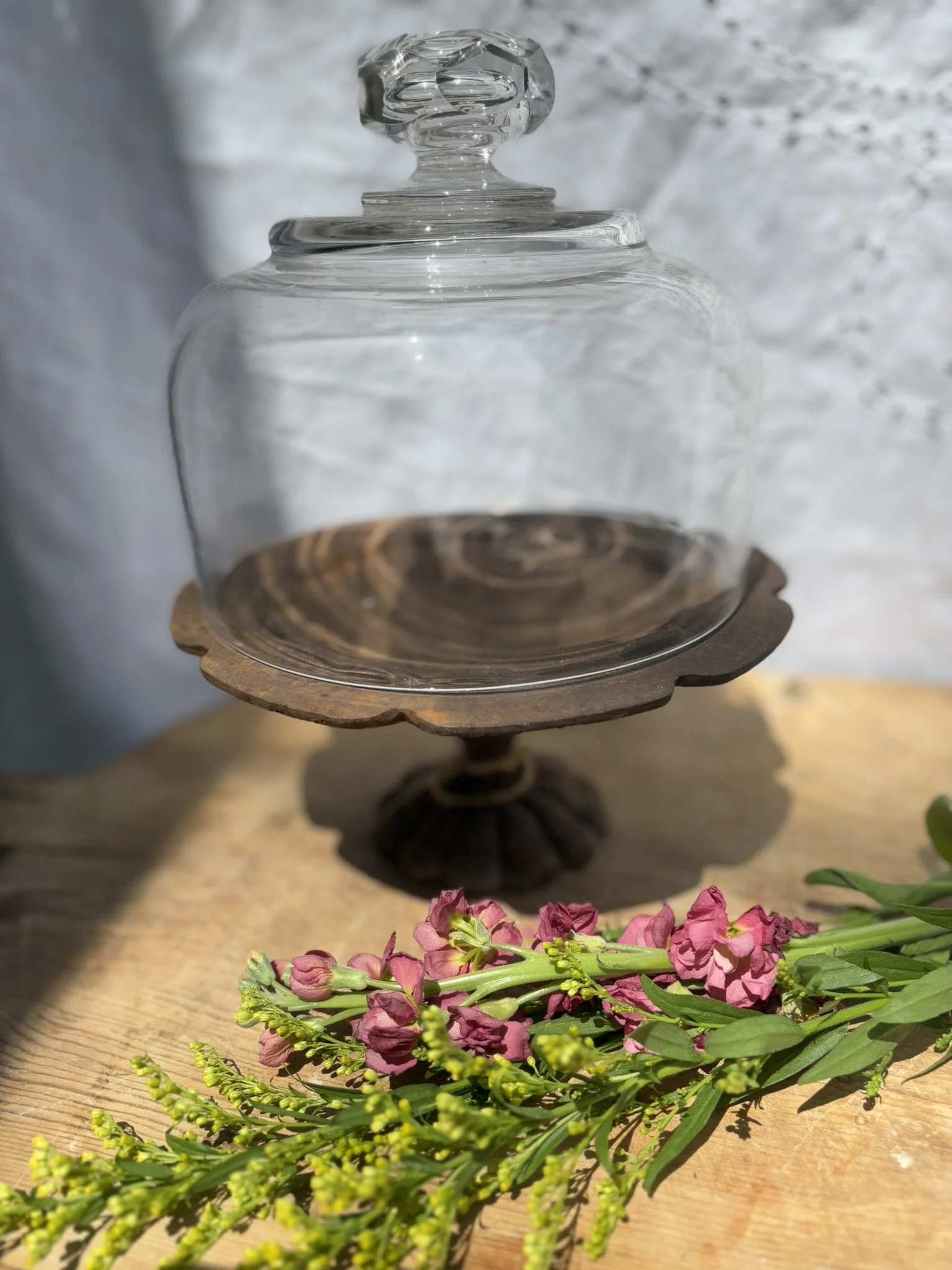 Antique Apothecary Cloche