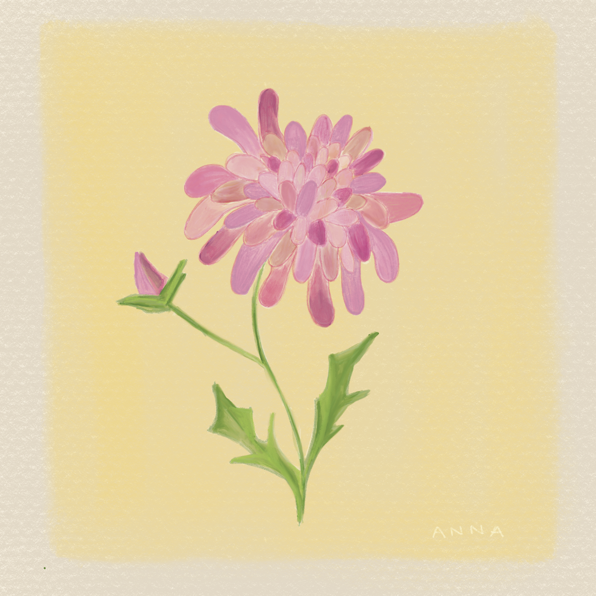 November Birth Flower Print