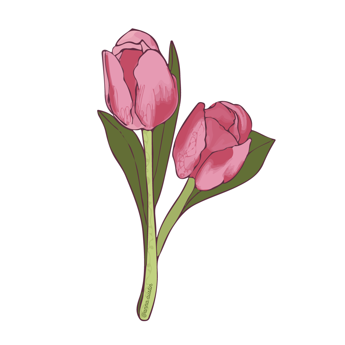 Tulip Sticker
