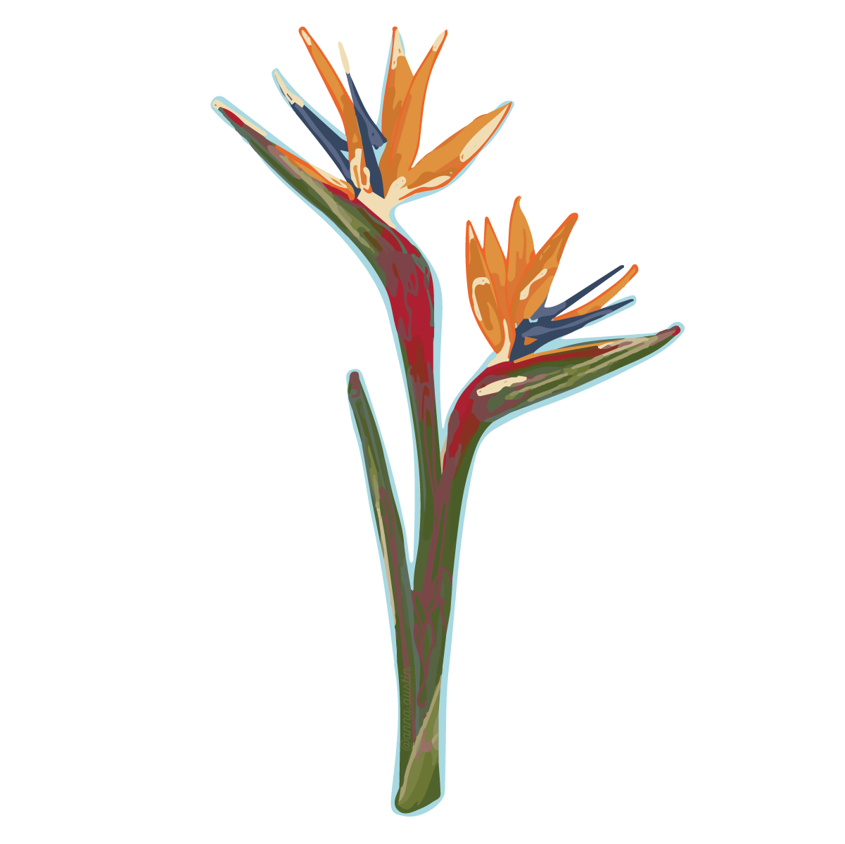 Birds of Paradise Sticker