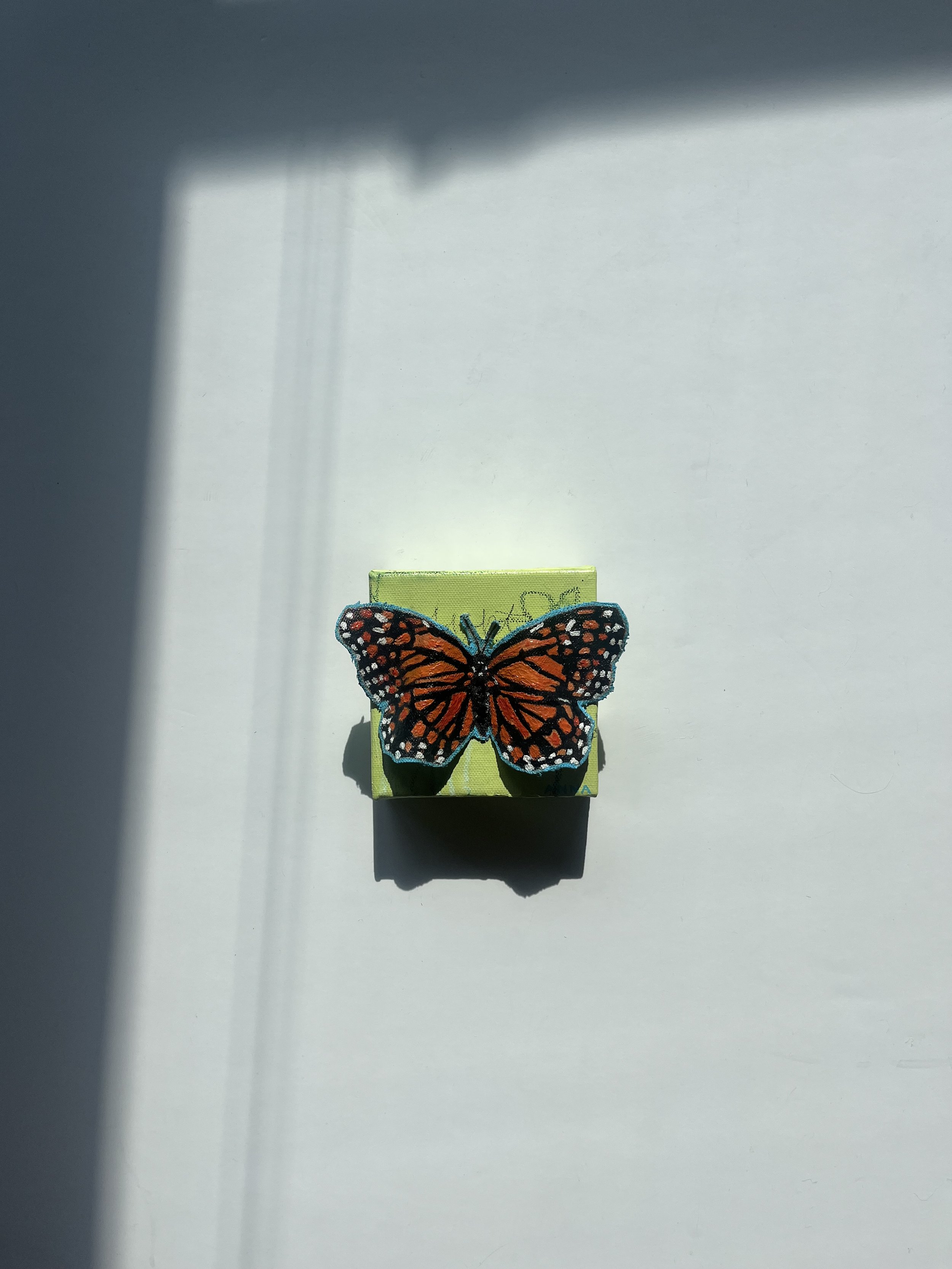 IMG_0577.jpeg