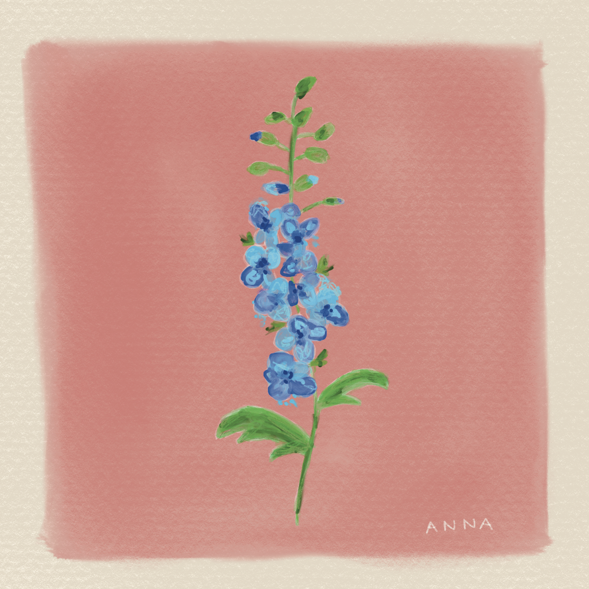 July_Flower 3.png