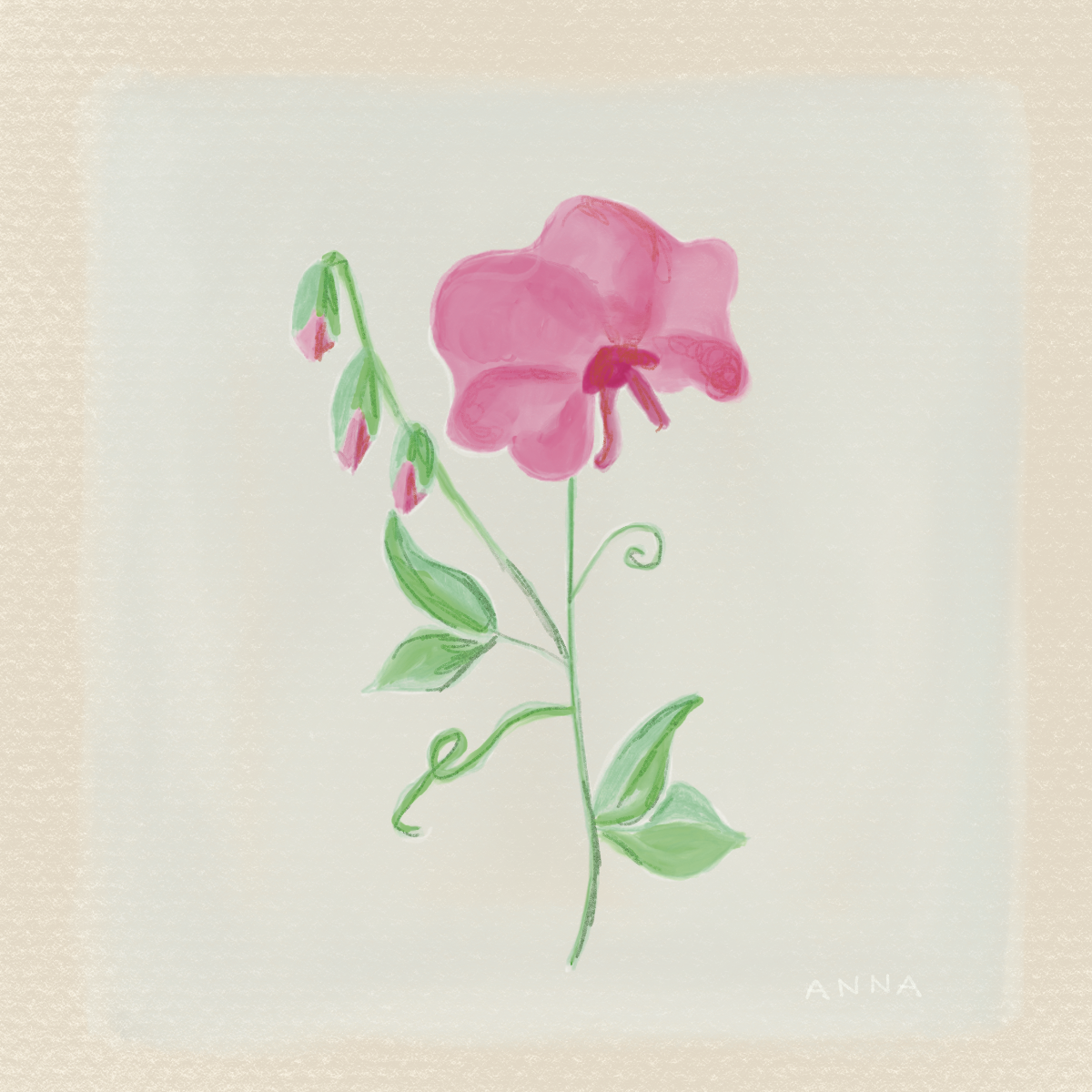 April_Flower 2.png