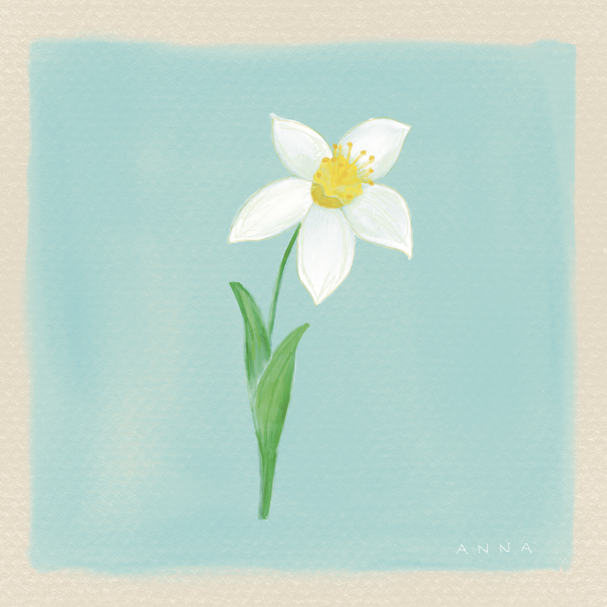 December Birth Flower Print