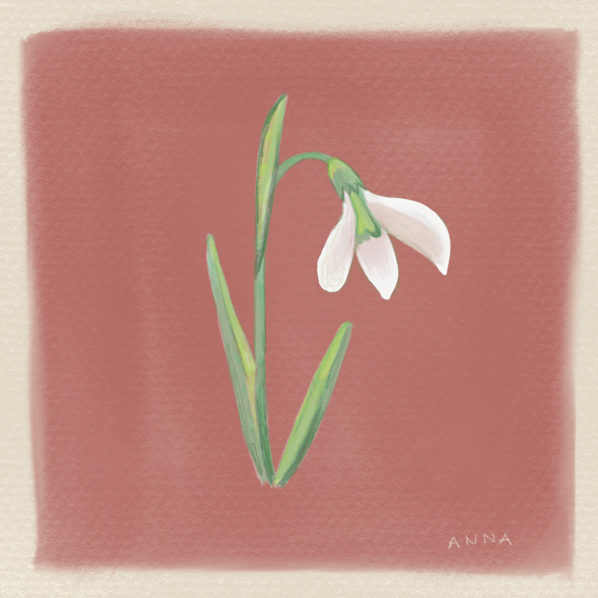 January Birth Flower Print