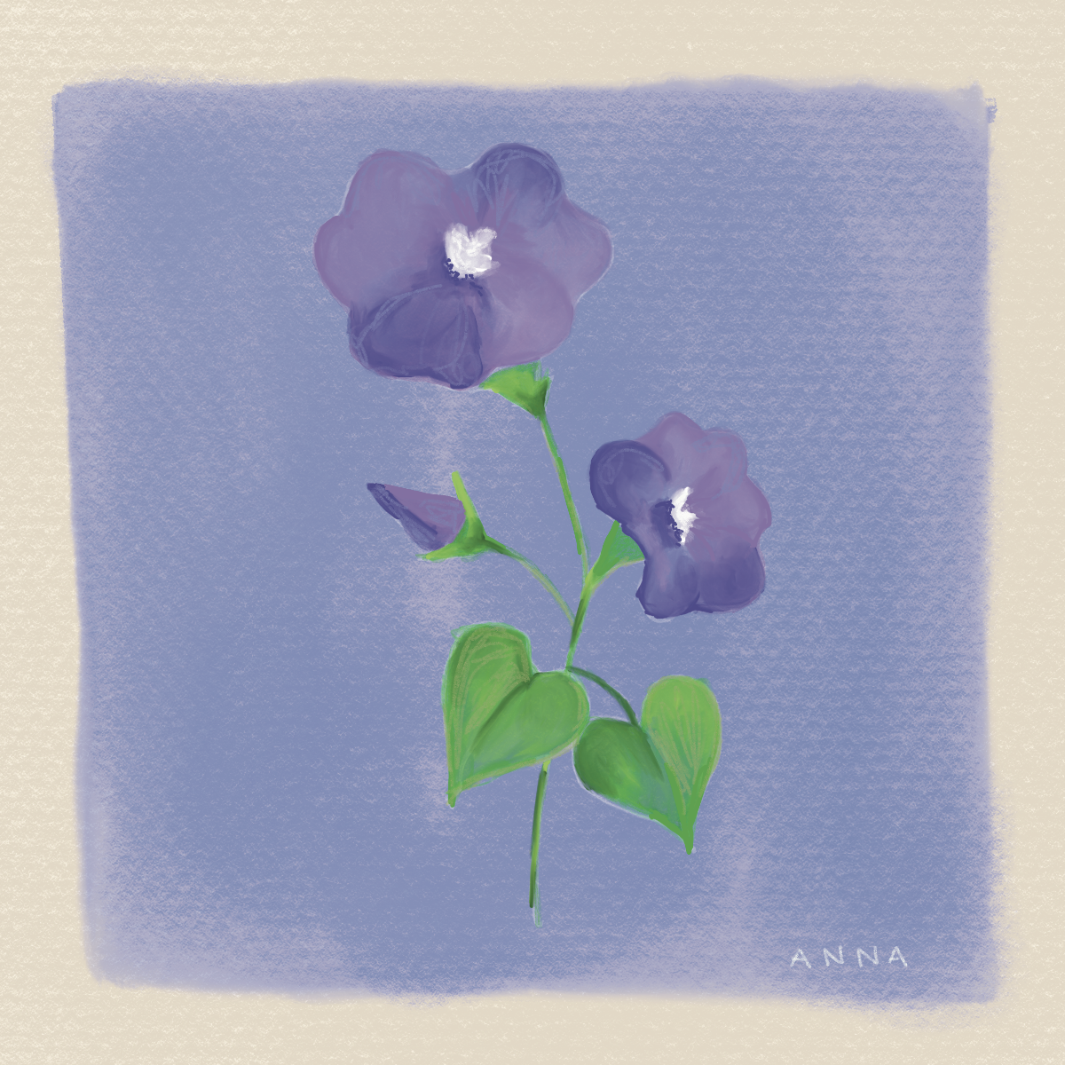 September Birth Flower Print