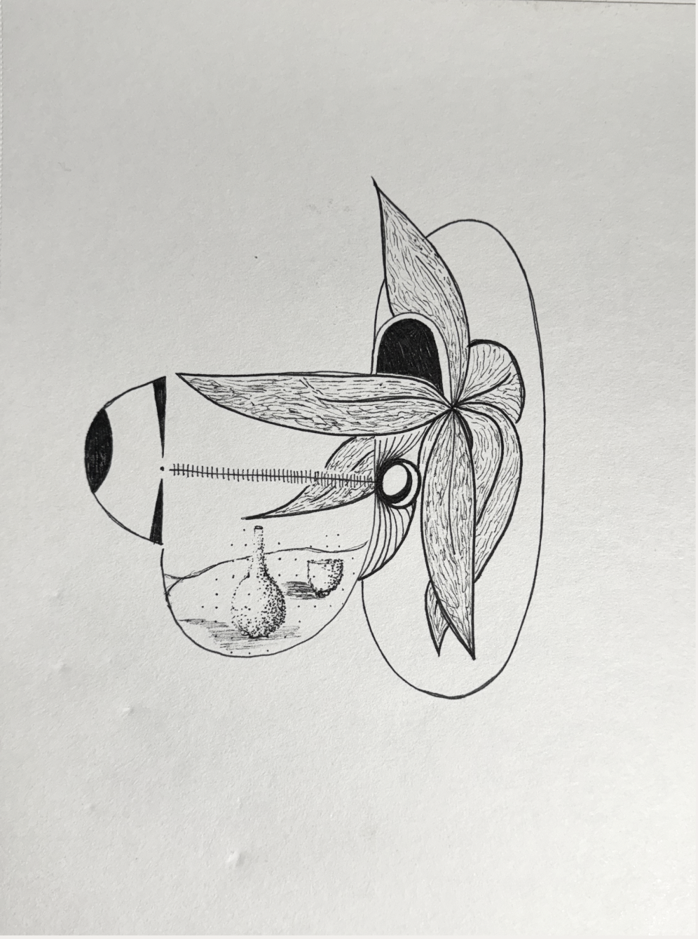 Screen Shot 2024-01-23 at 7.02.31 PM.png