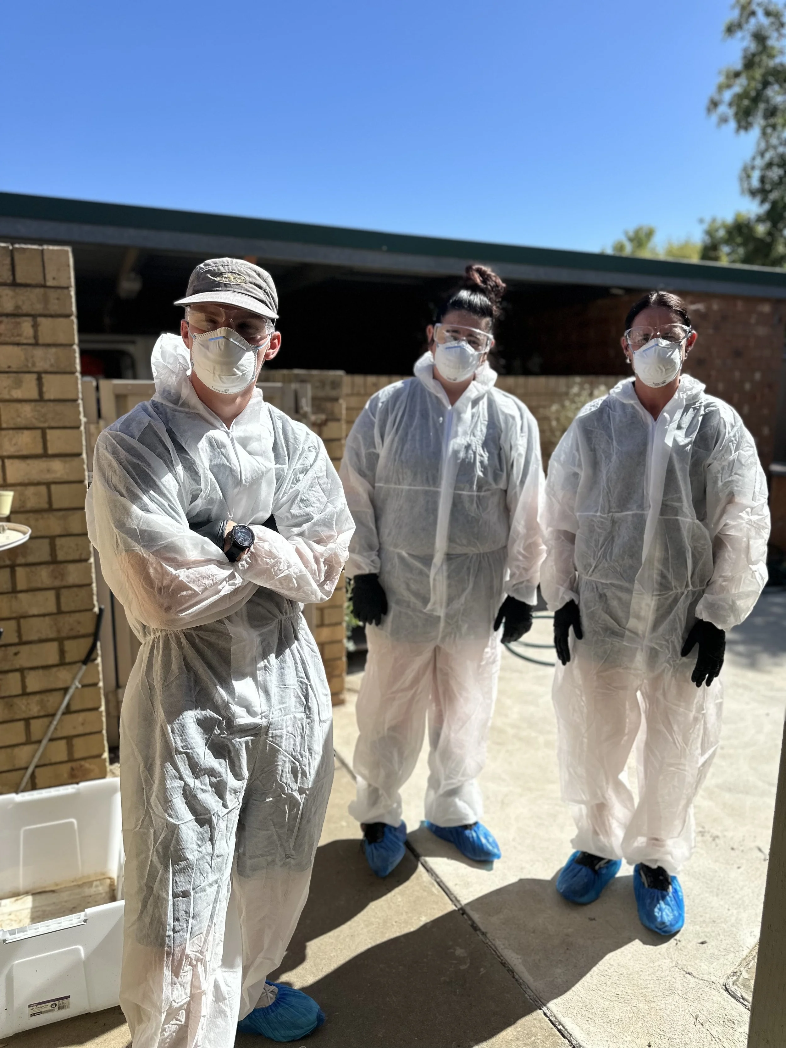 Forensic & Biohazard Cleaning