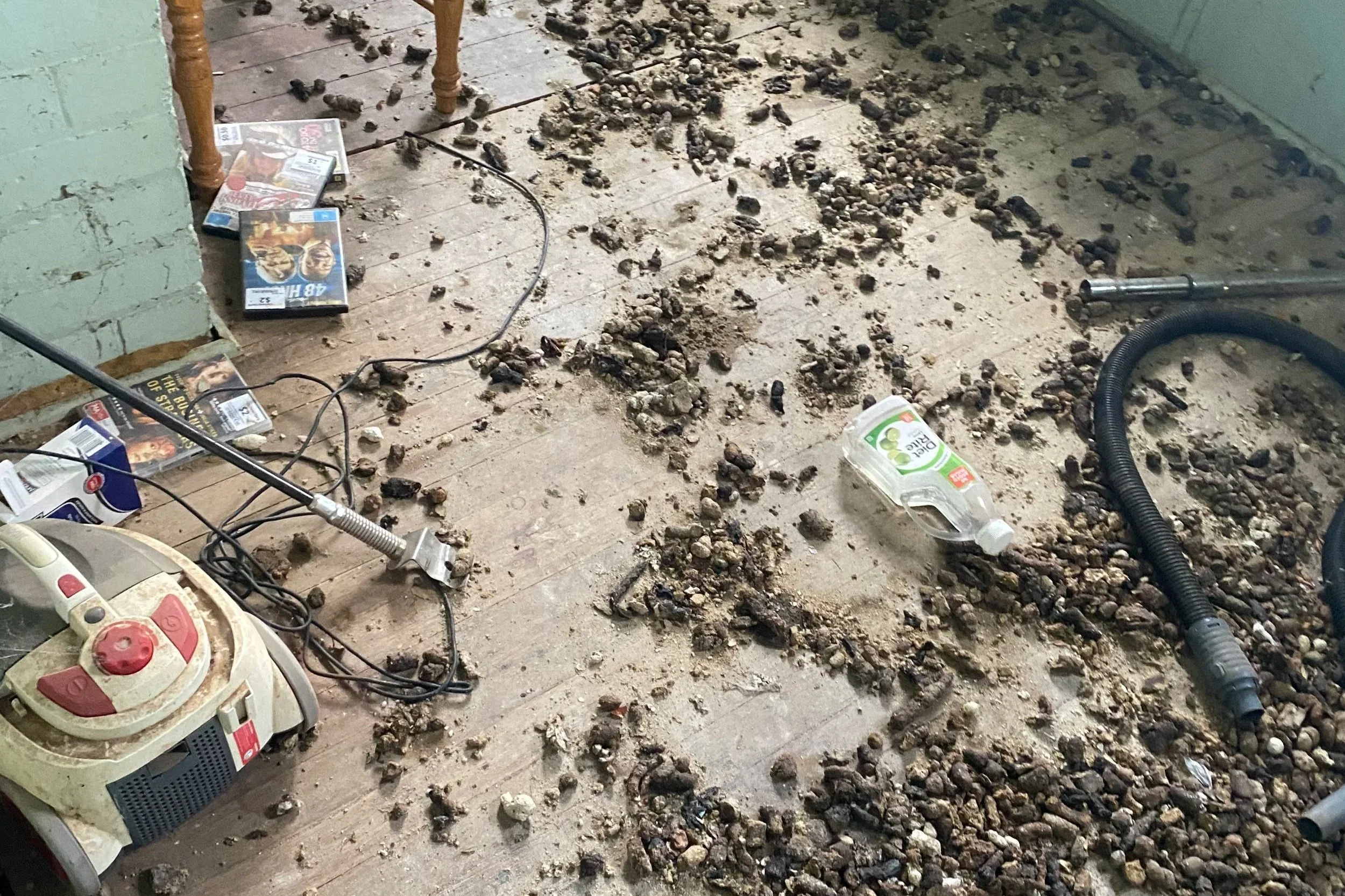 animal poo