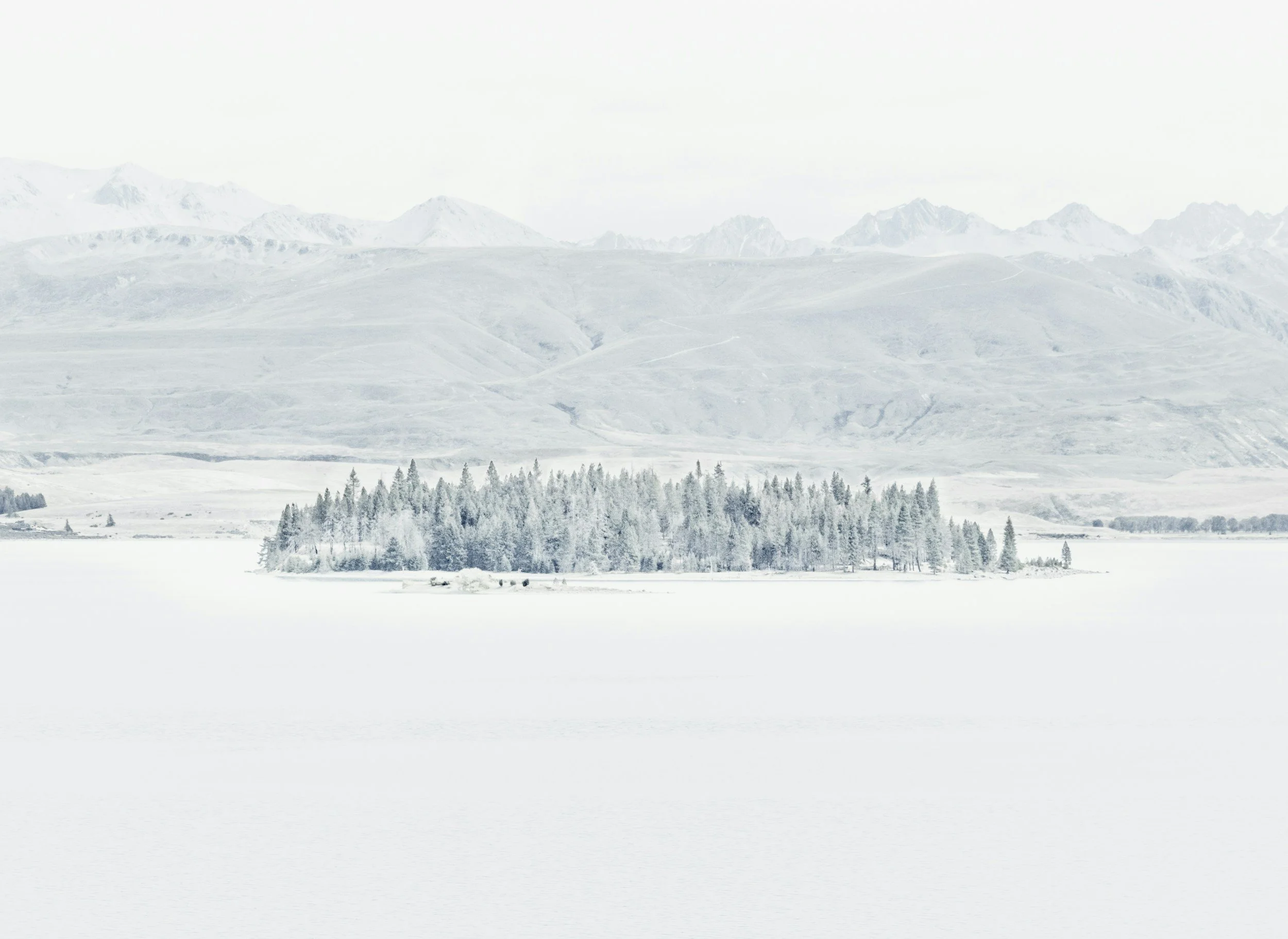 unsplash-image-ibPImzjI_IE.jpg