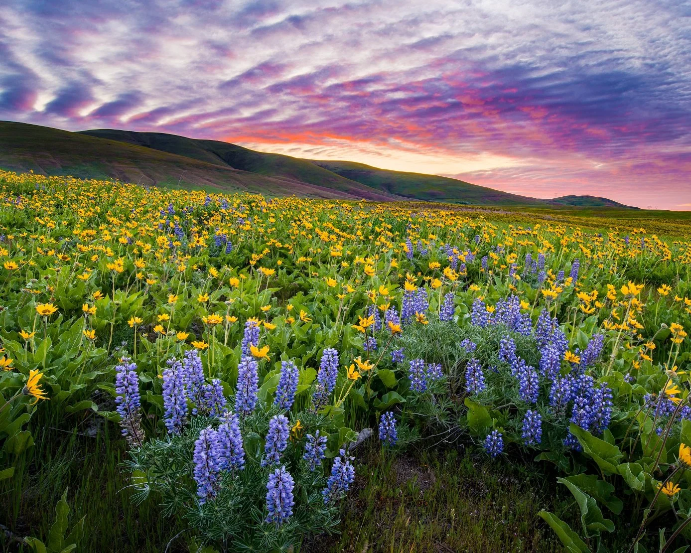 Golden sunset light illuminating sea stacks along the Oregon coast photographed during a Wake Up To Adventure coastal landscape photography tour.