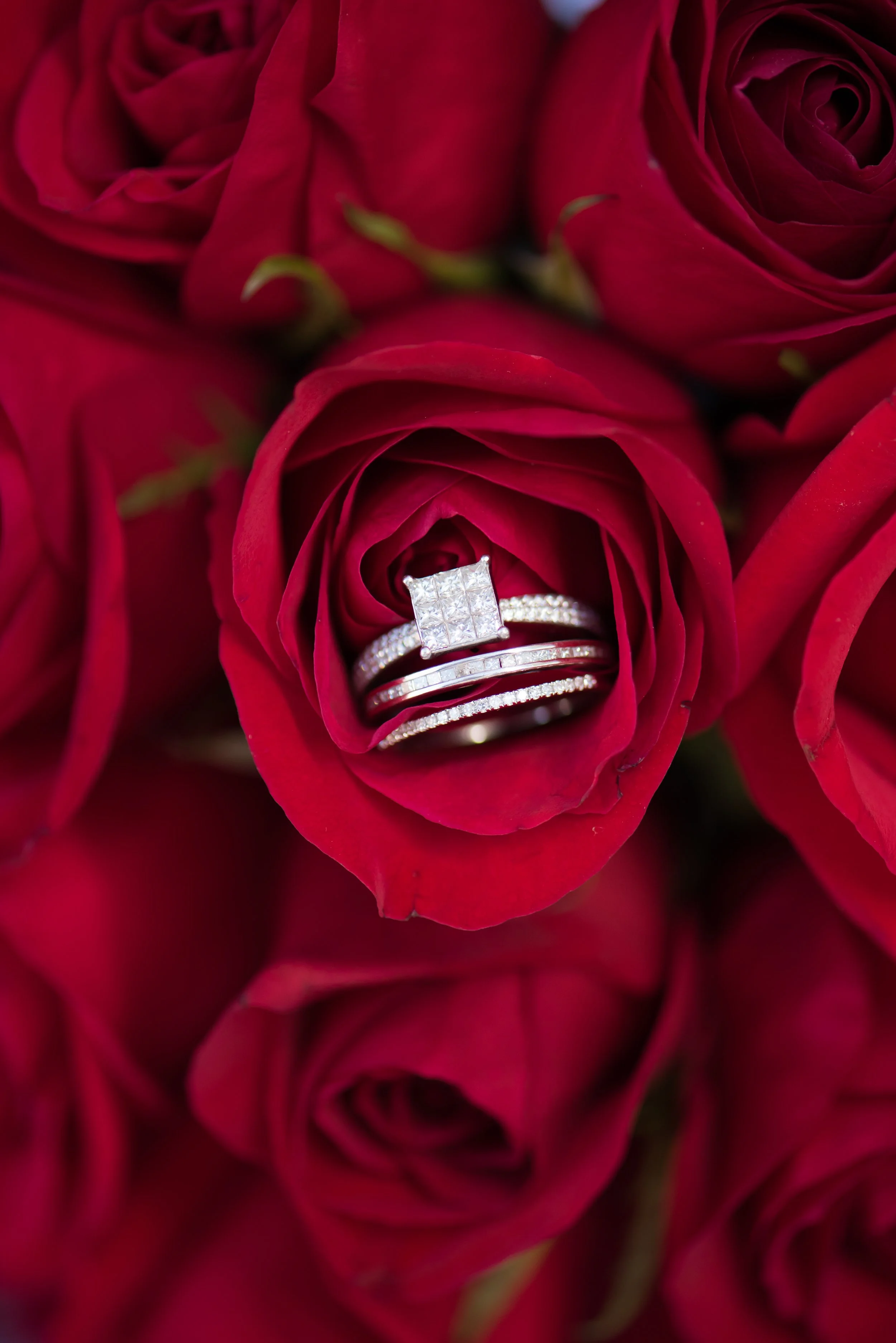 Wedding Details (8 of 62).jpg