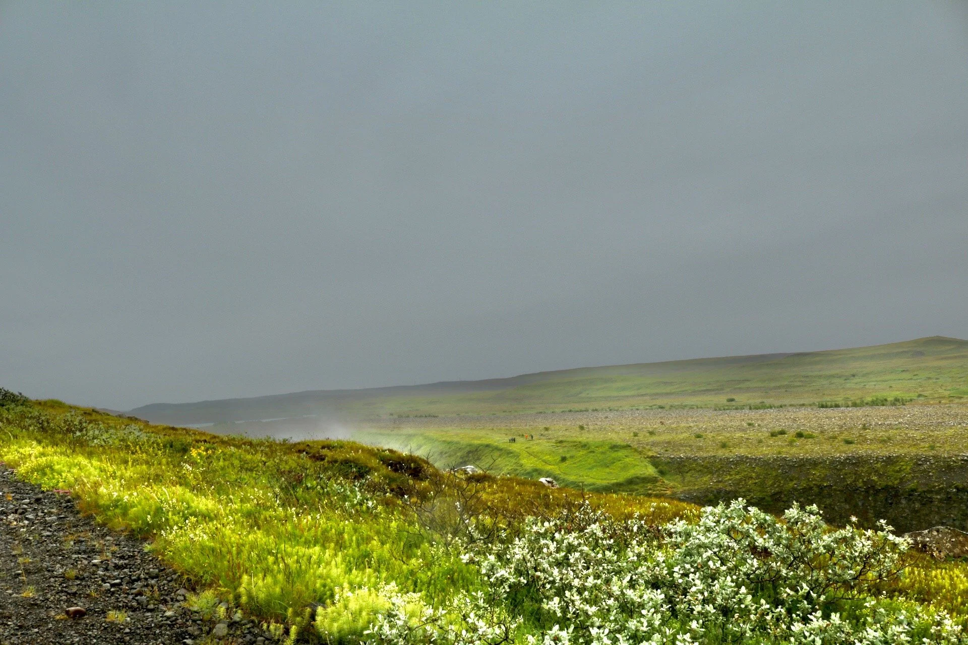 waterfall weeds green.jpg