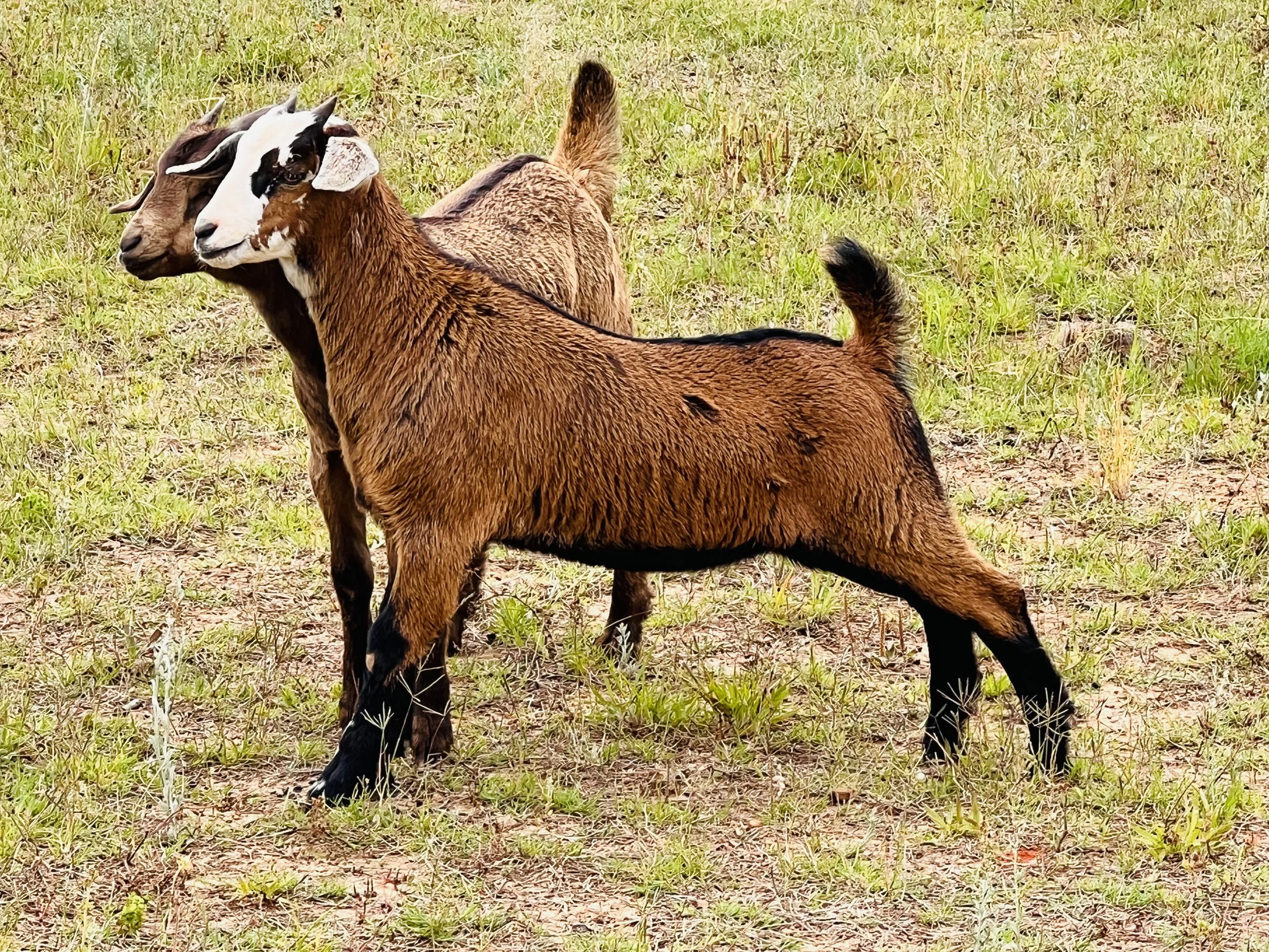 For Keeping — Wilson Farms Co