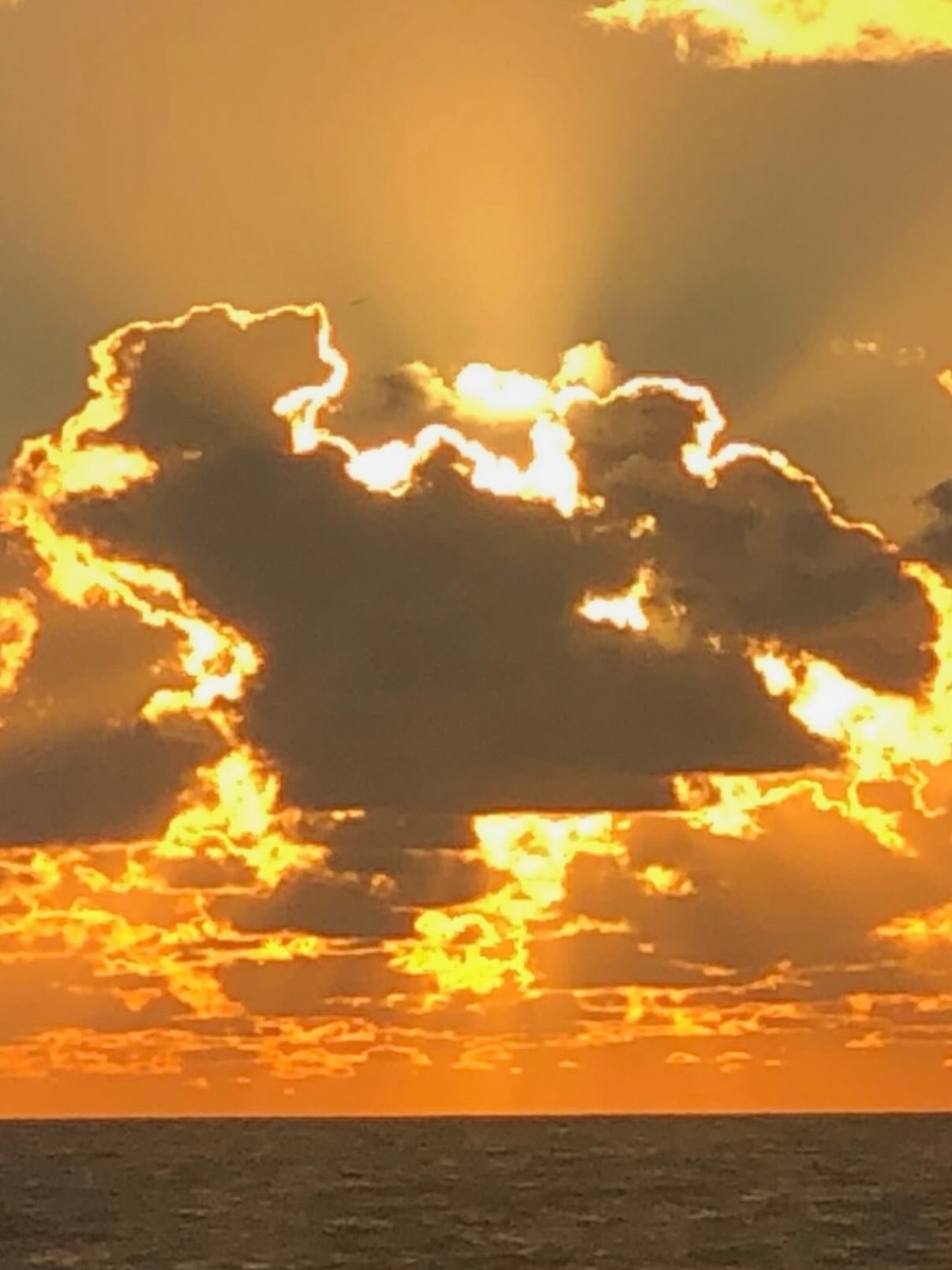 Un nuevo amanecer🙏☀️🤍✨🕊️ #WeLoveVenezuela