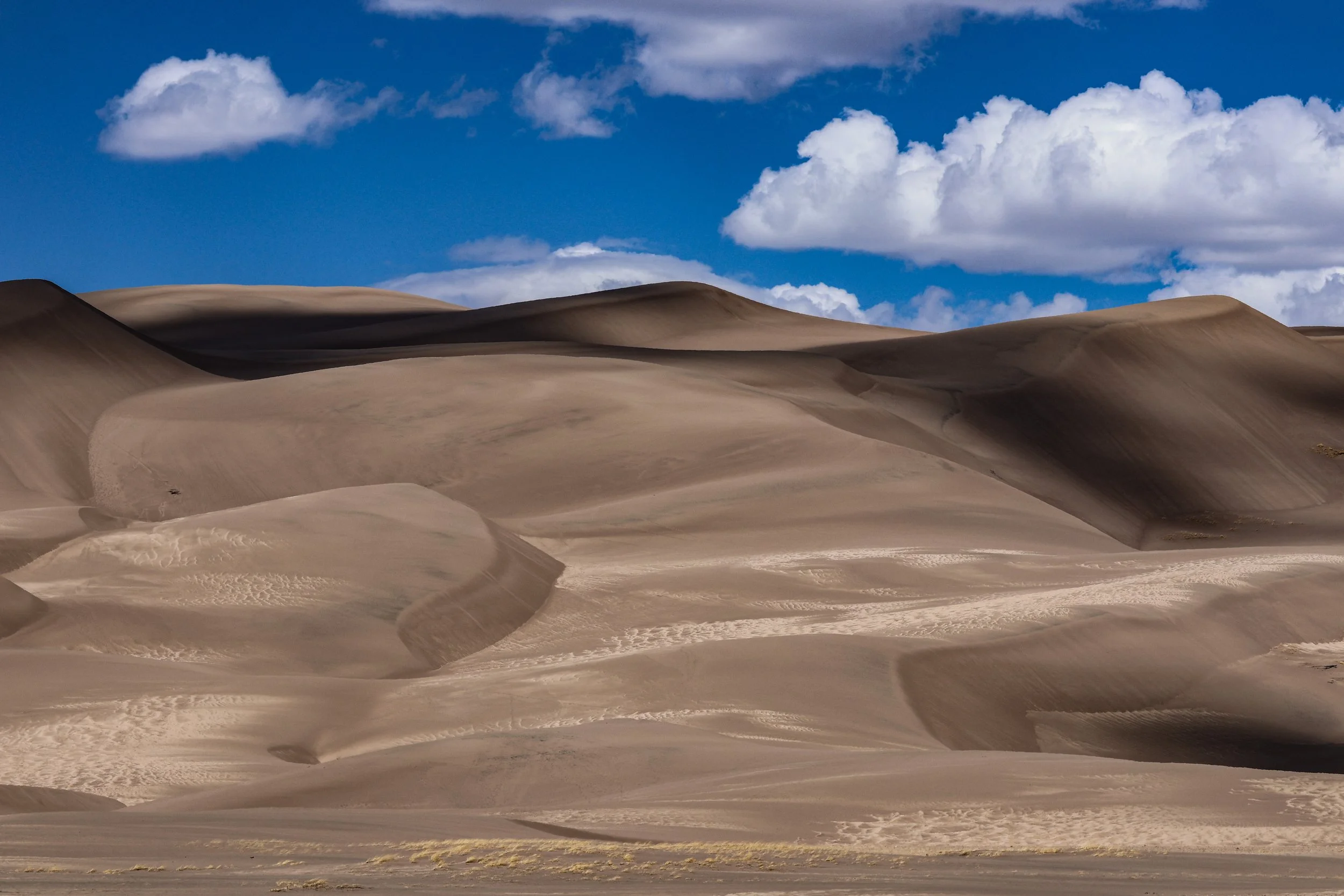 Tesla shots for website-20.jpg