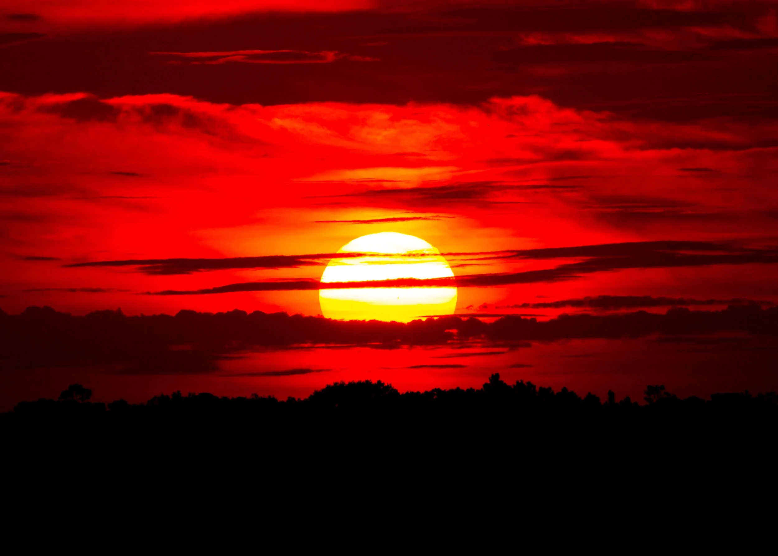 Tesla shots for website-24.jpg