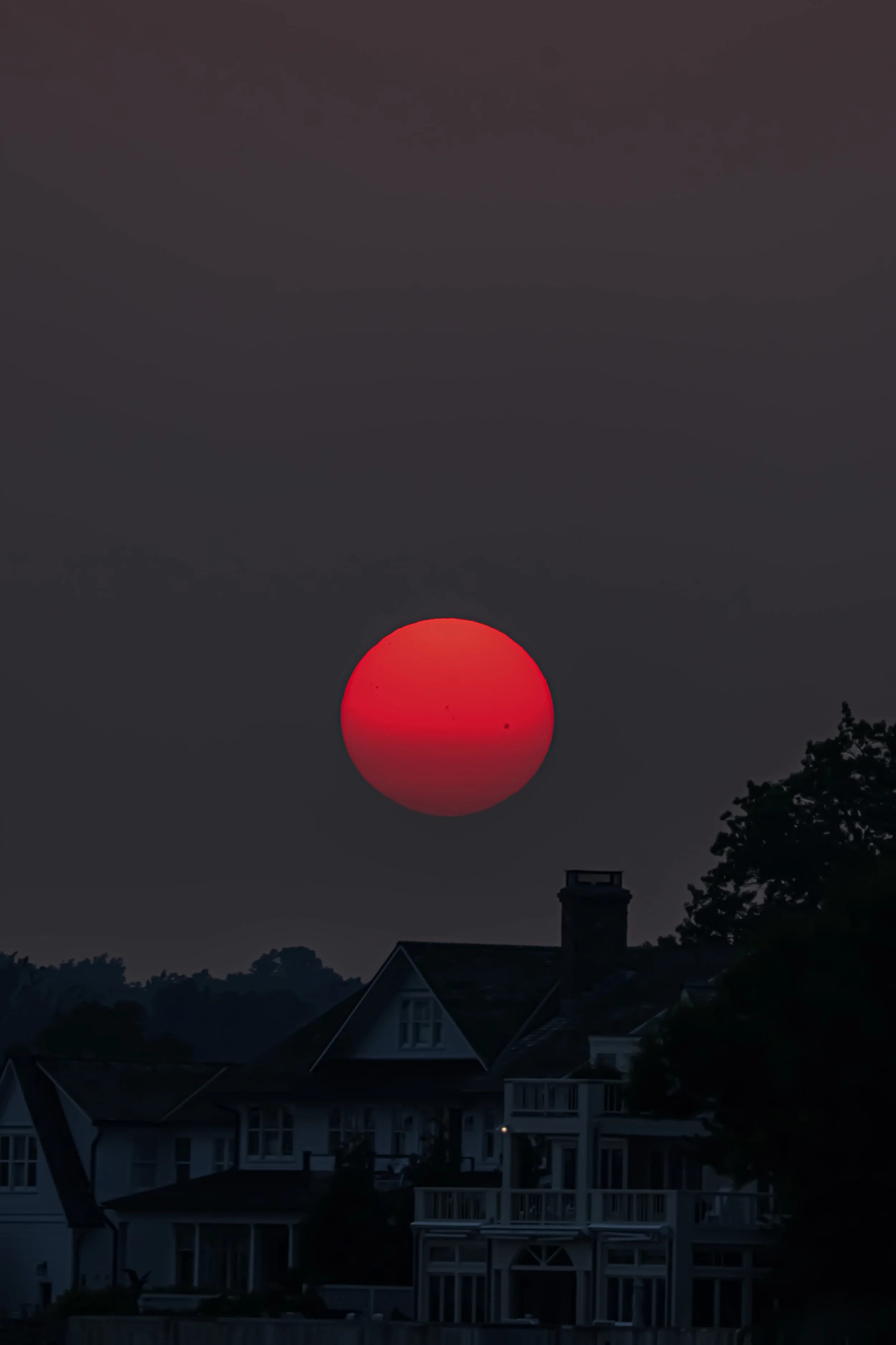 Tesla shots for website-23.jpg