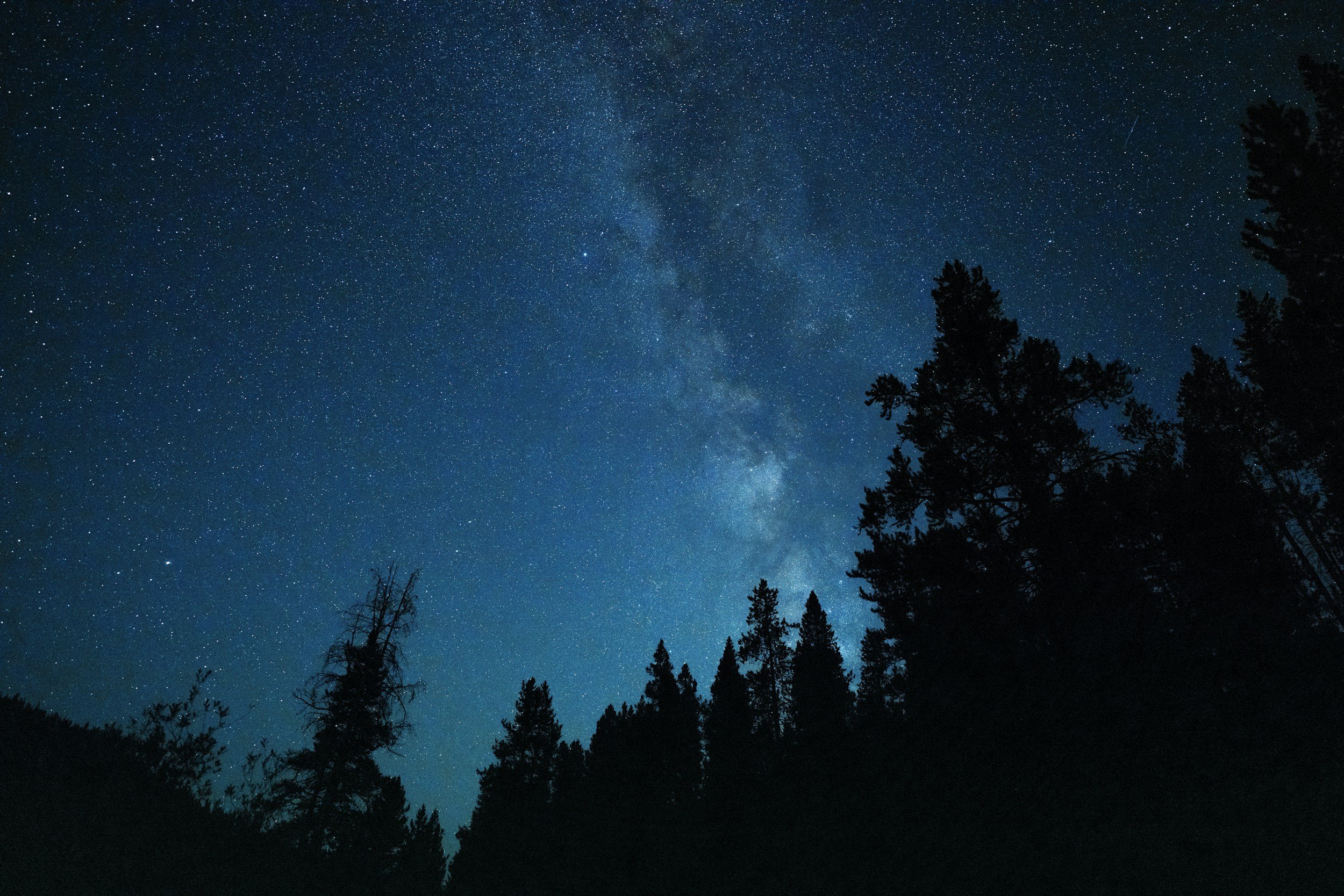 Journeying Forward in Darkness: The Future of Arts Leadership.