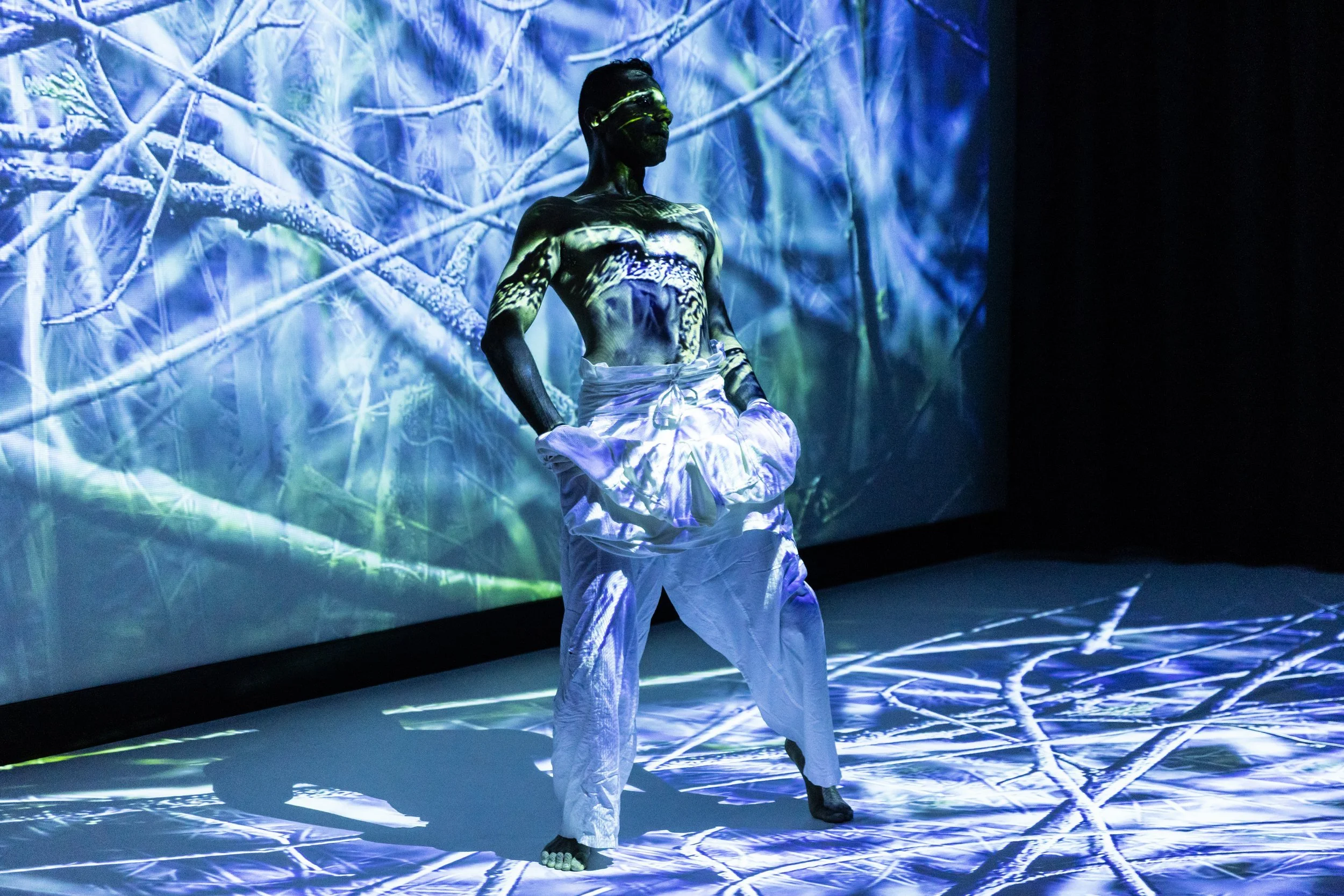 Pic Darwin x Dehli.jpeg