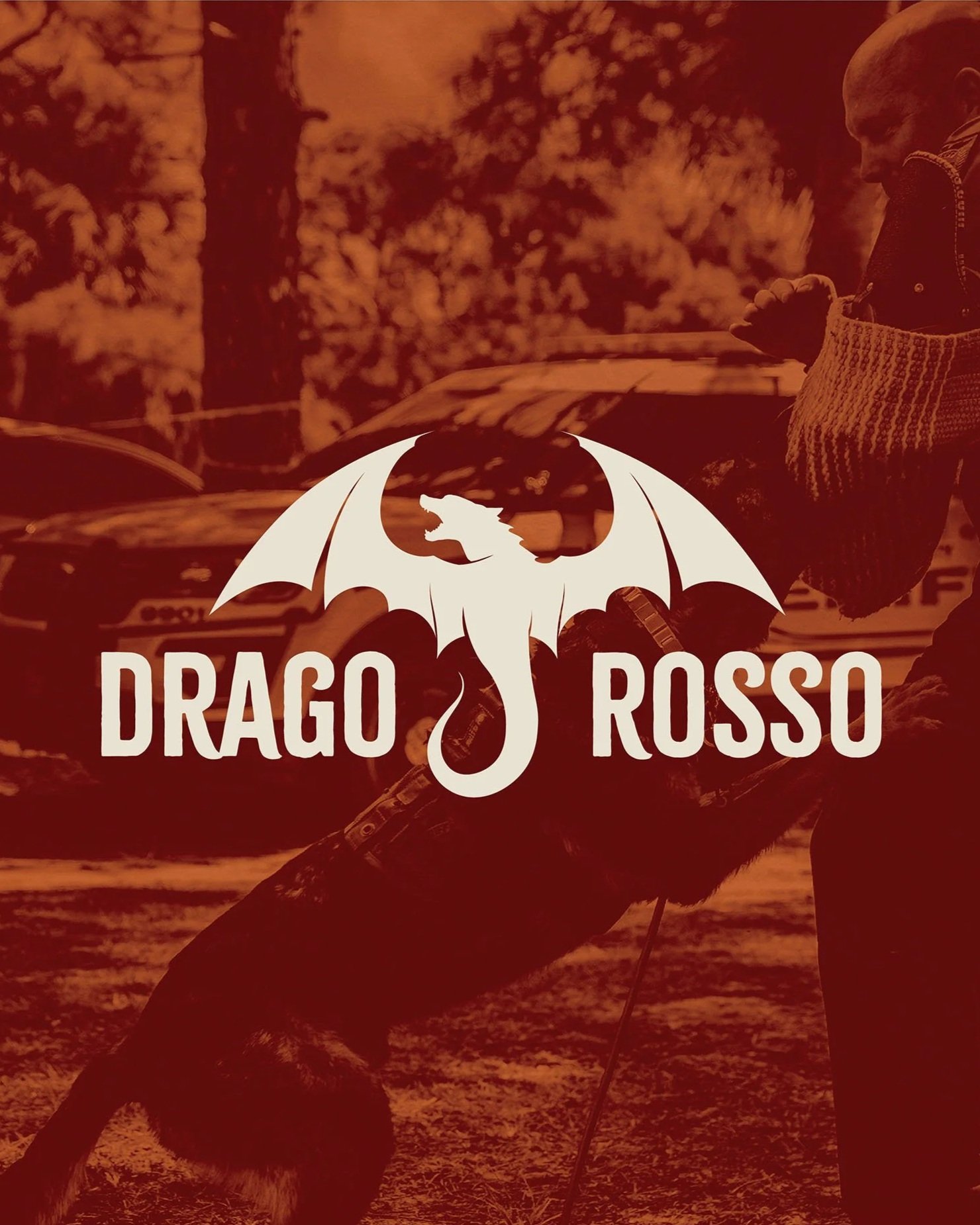 Drago Rosso Gallery Photos For Website6.jpg