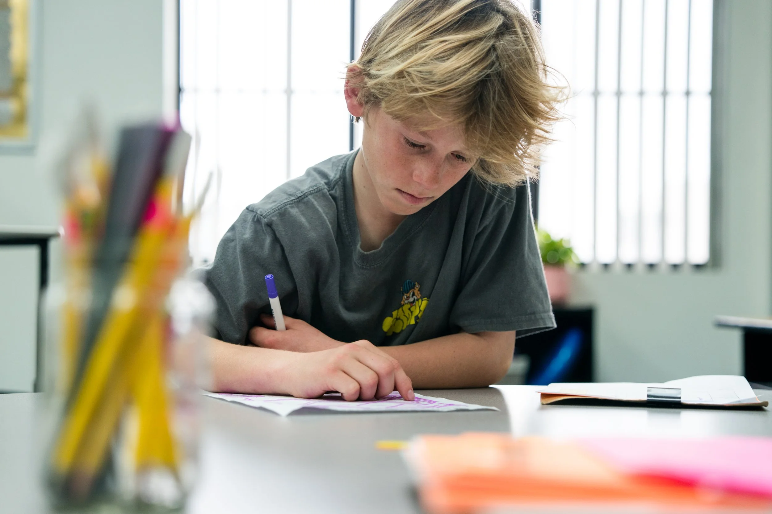 Neurodiverse Students