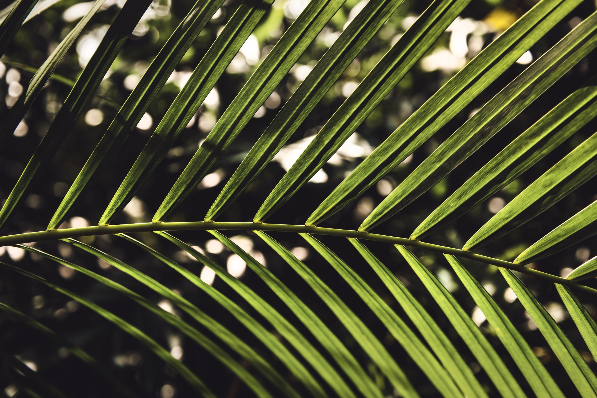 tim-mossholder-WloXxVUCFcY-unsplash.jpg