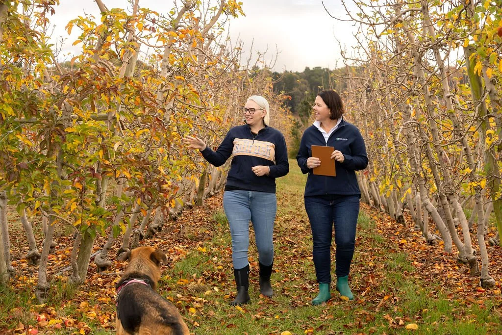 When farm business advisory moves beyond templates and frameworks