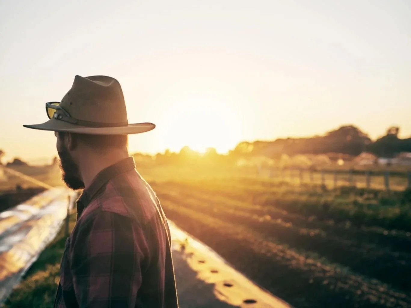 What is doing nothing actually costing your farming business?