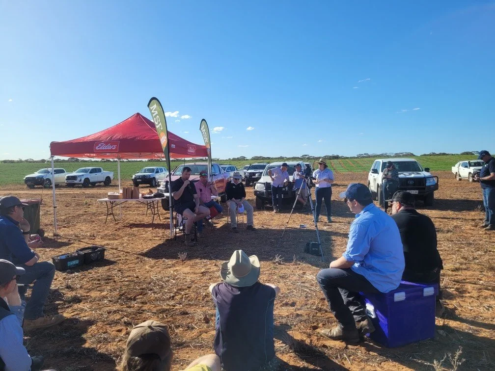 Loxton panel group shot.jpeg