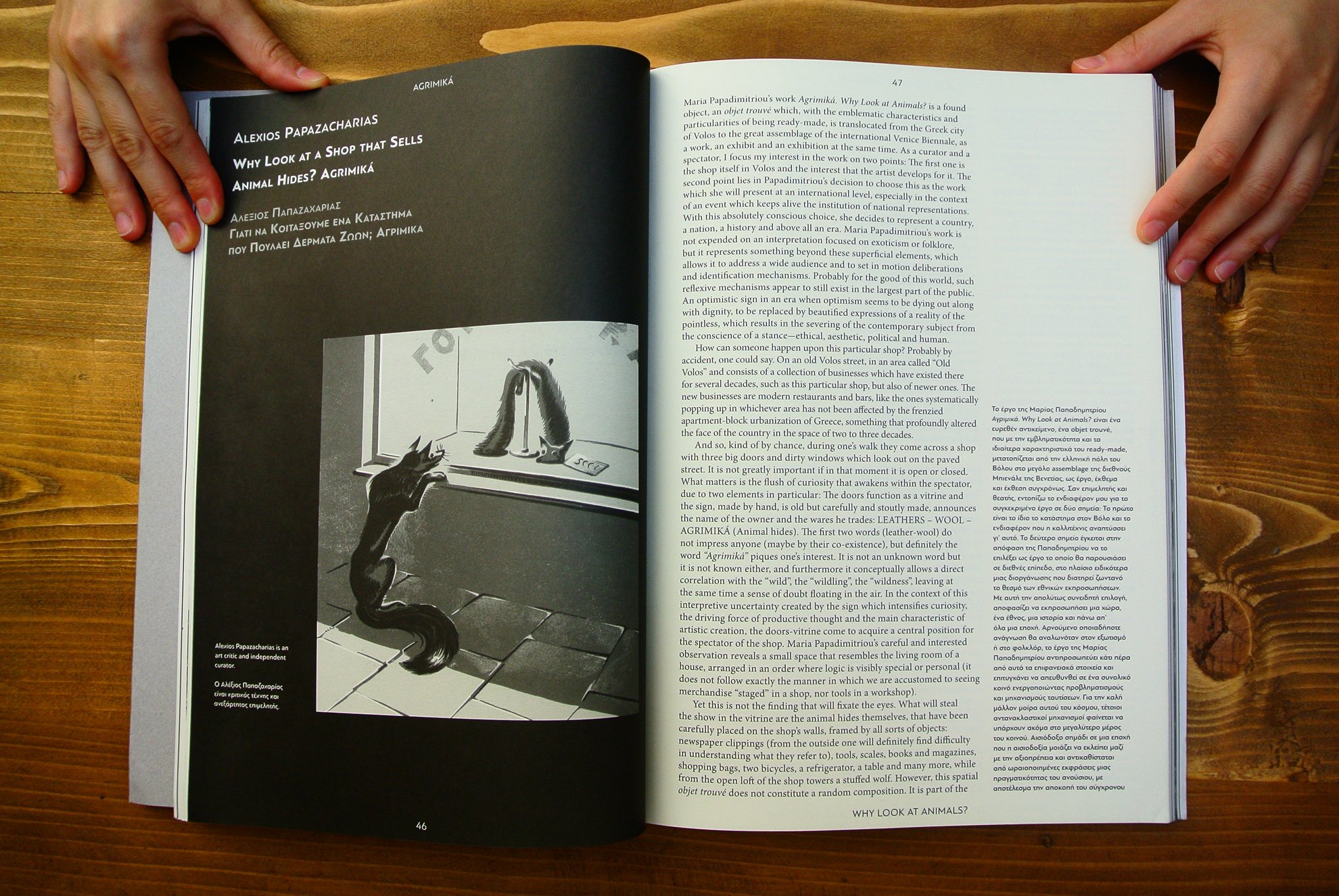 Agrimika_Book_VeniceBiennale_Papadimitriou_VassilikiMariaPlavou_06.jpg