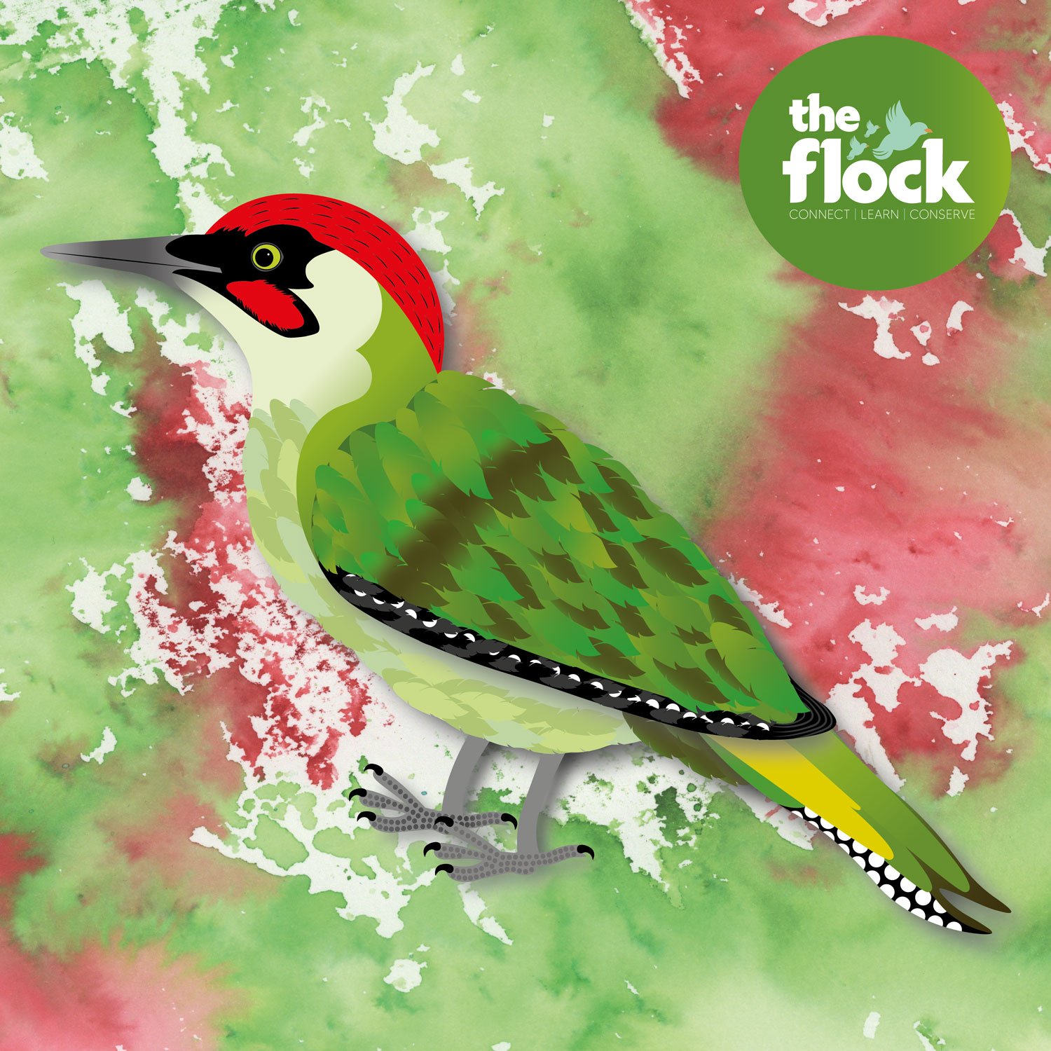 Green-Woodpecker-Insta-Post-02.jpg