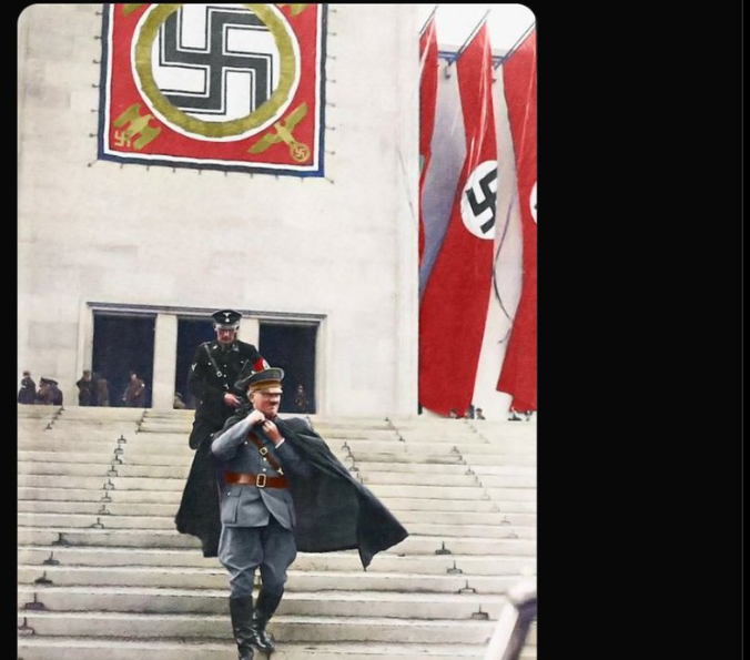 Analyse Normies en de Nazi’s