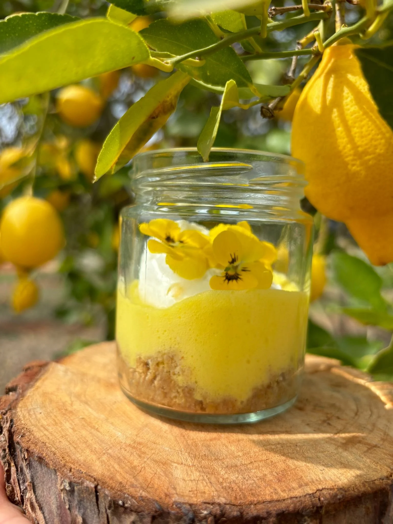 A glass jar filled with yellow and white yogurt with edible flowers on top, placed on a wooden surface outdoors among lemon and orange tree branches and fruit.