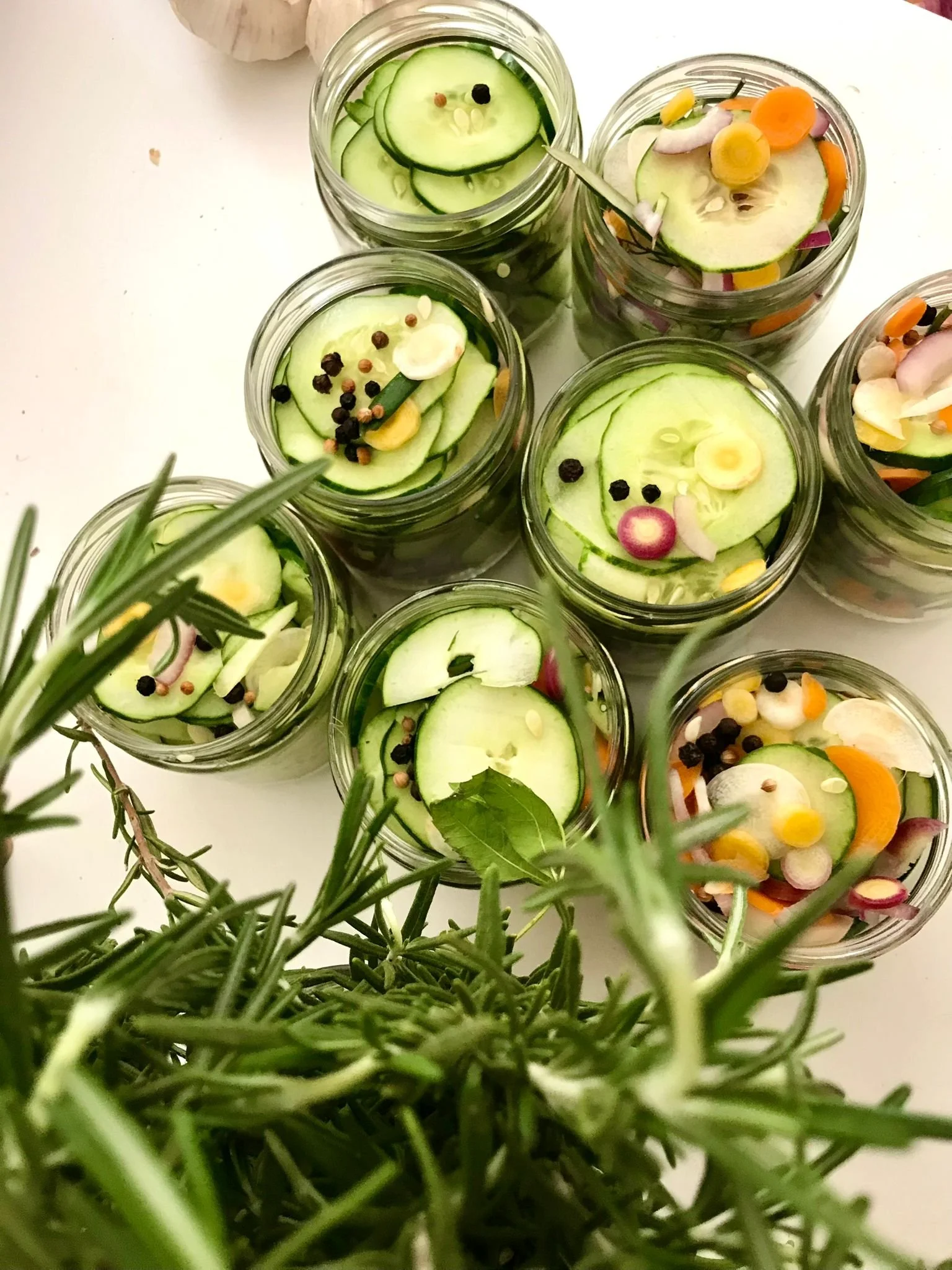 Multiple glass jars filled with sliced cucumbers, radishes, carrots, onion, and mixed peppercorns for pickling, with rosemary sprigs in the foreground.