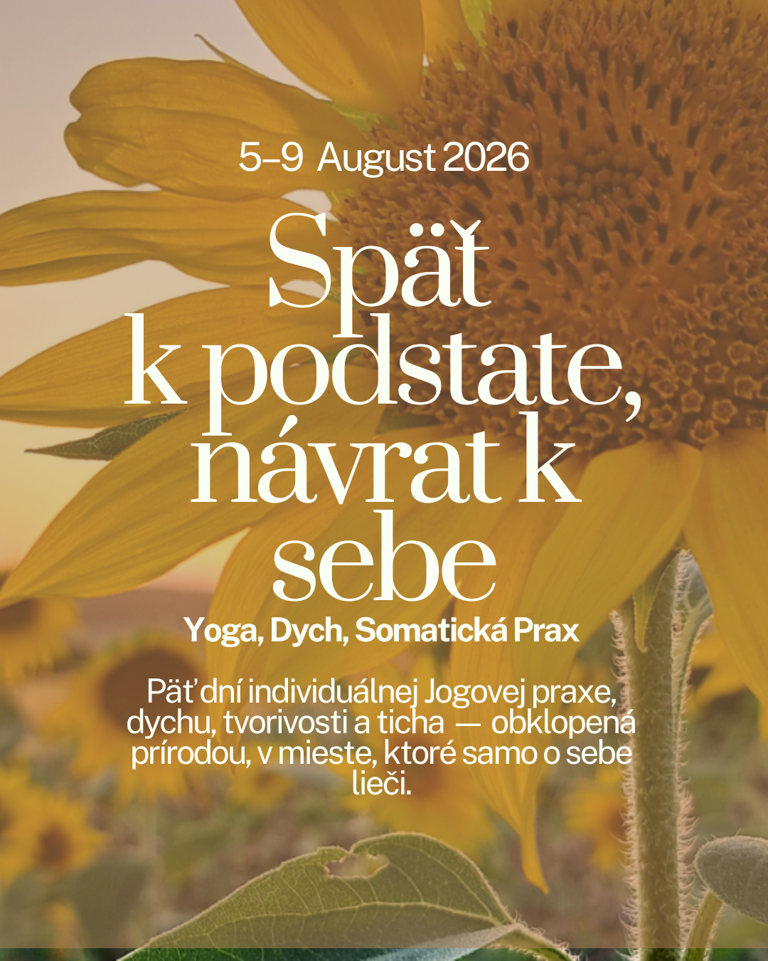 SEO picutre.png