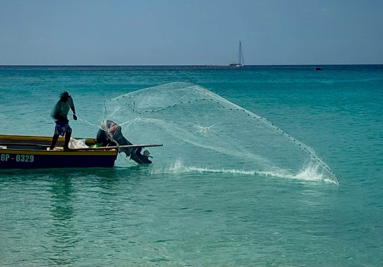 Just Fishing 🐟 #barbados #alleynesbay #iphone