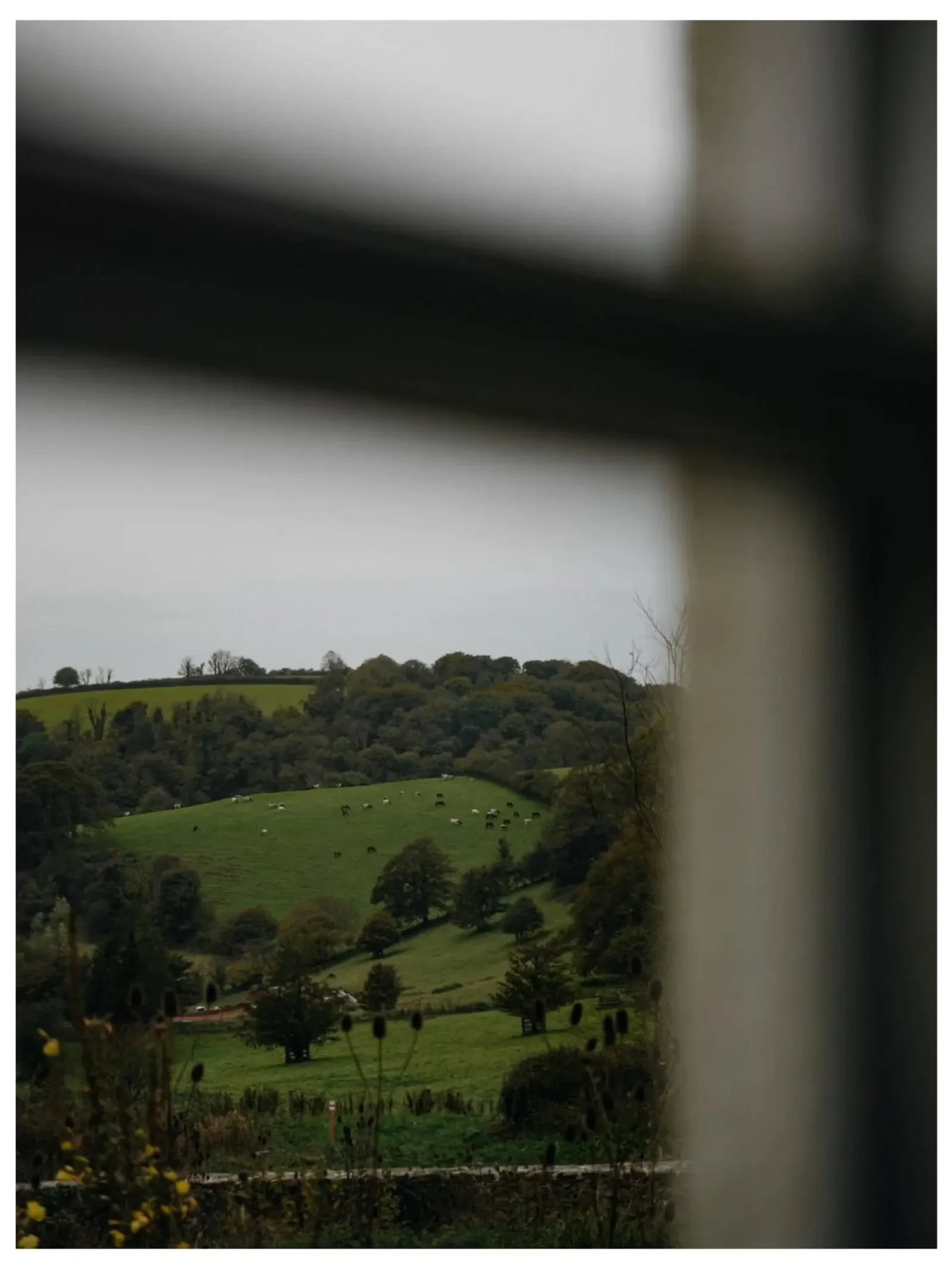 How to Create Your First Check-In &amp; Start Earning